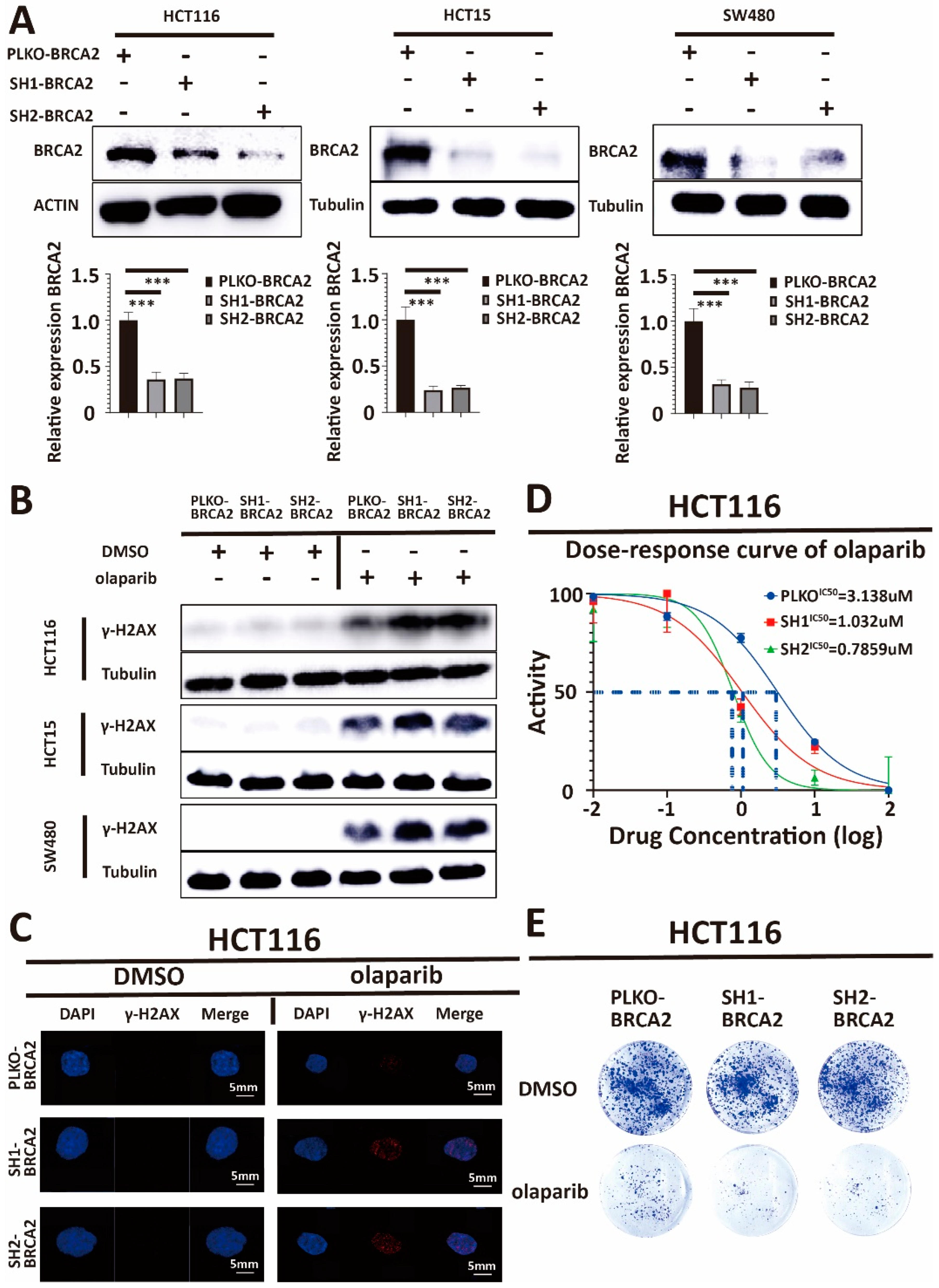 Cancers 15 05580 g002