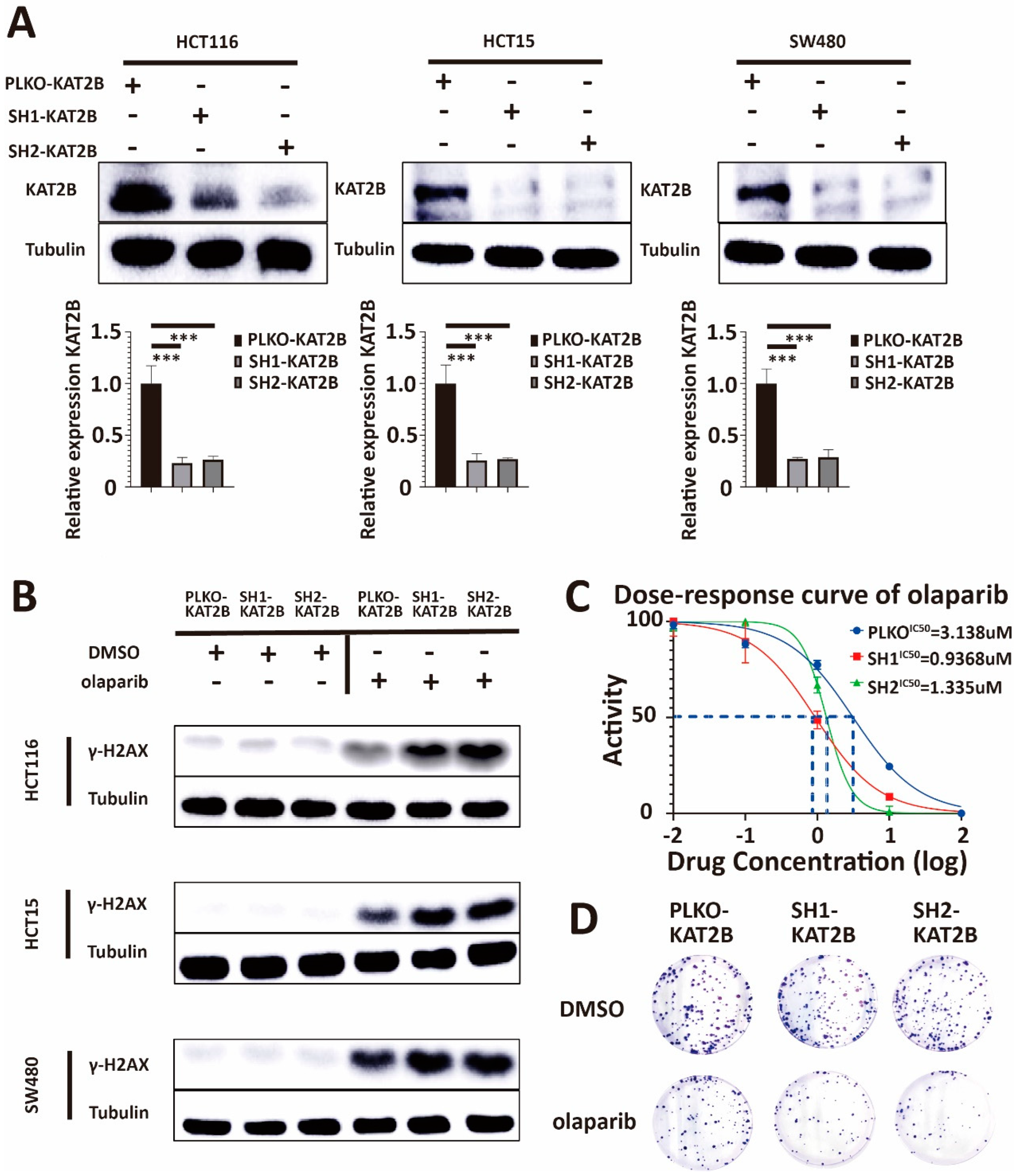 Cancers 15 05580 g004