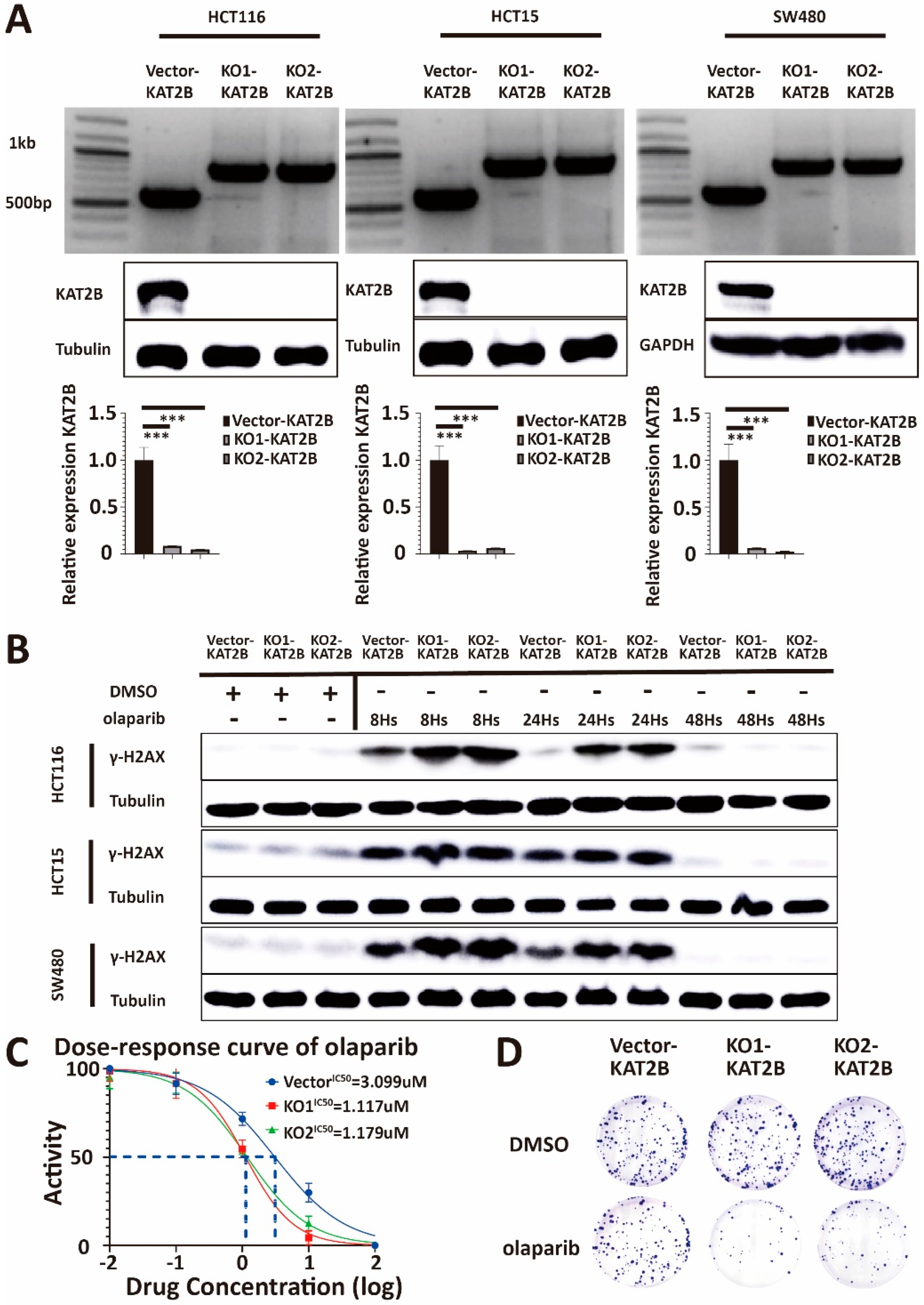 Cancers 15 05580 g005