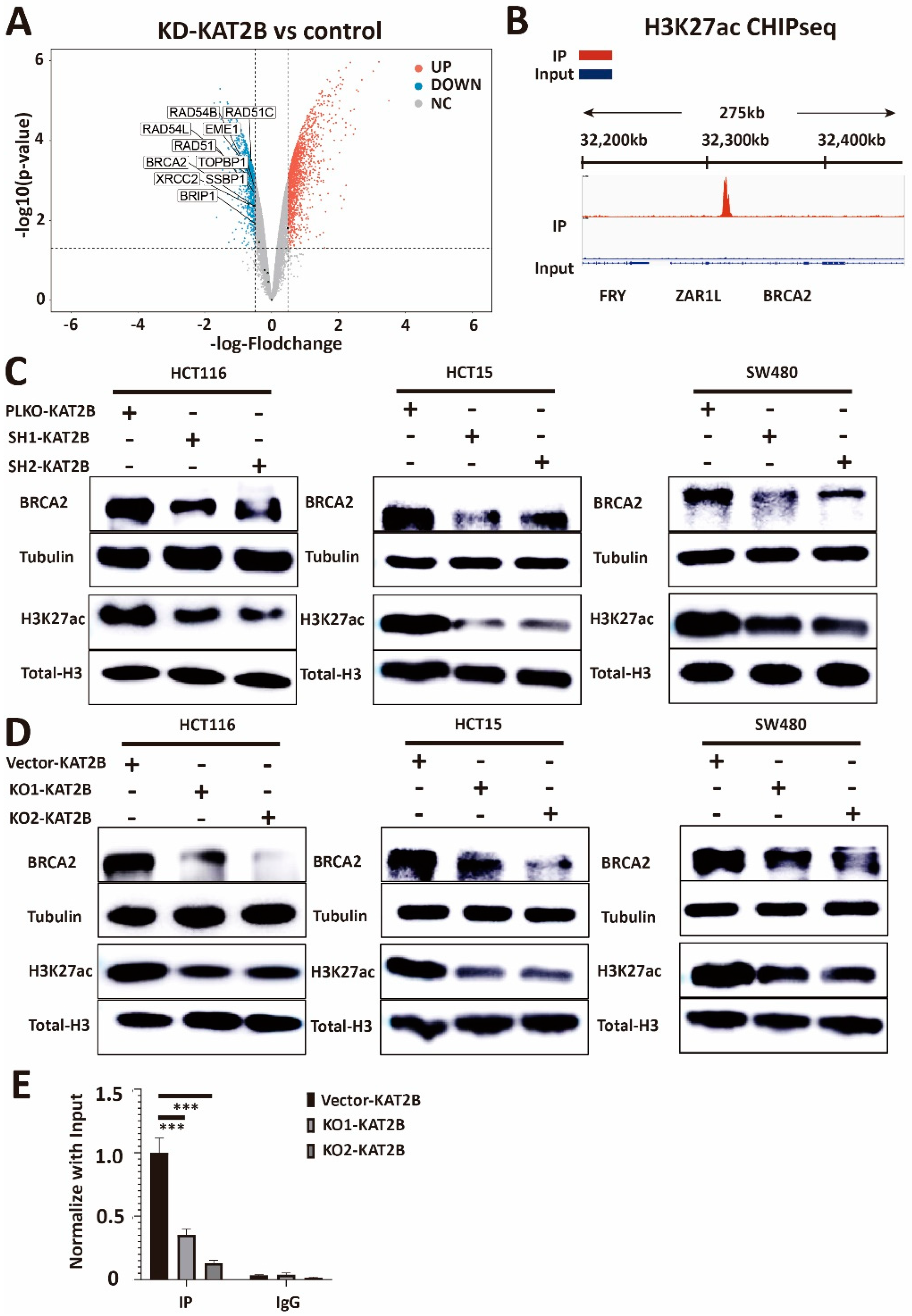 Cancers 15 05580 g006