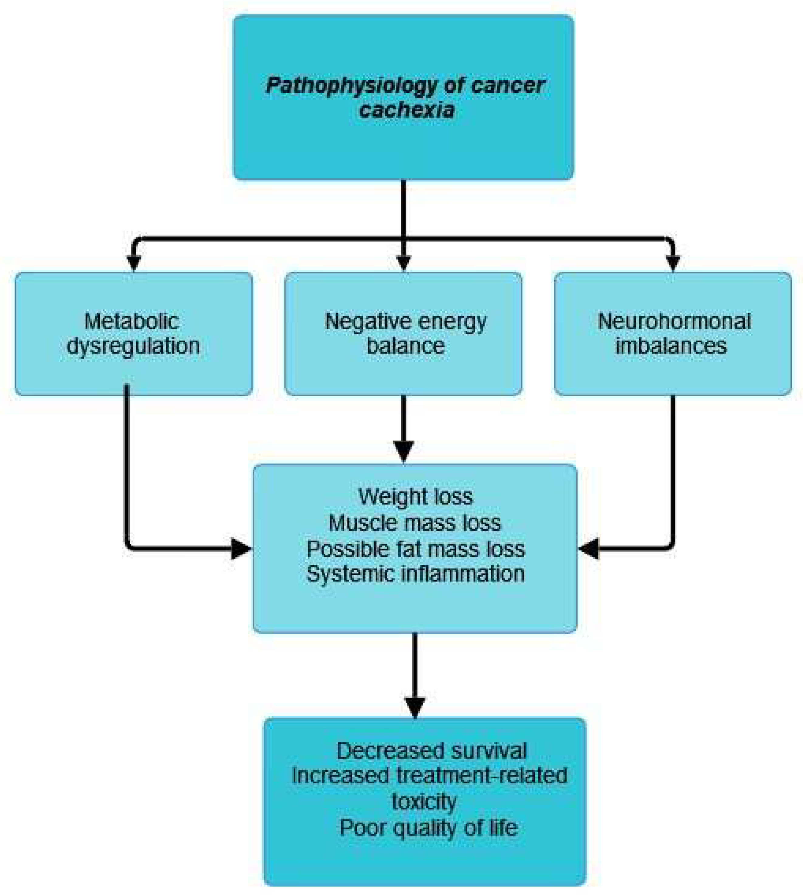 Cancers 15 05590 g001