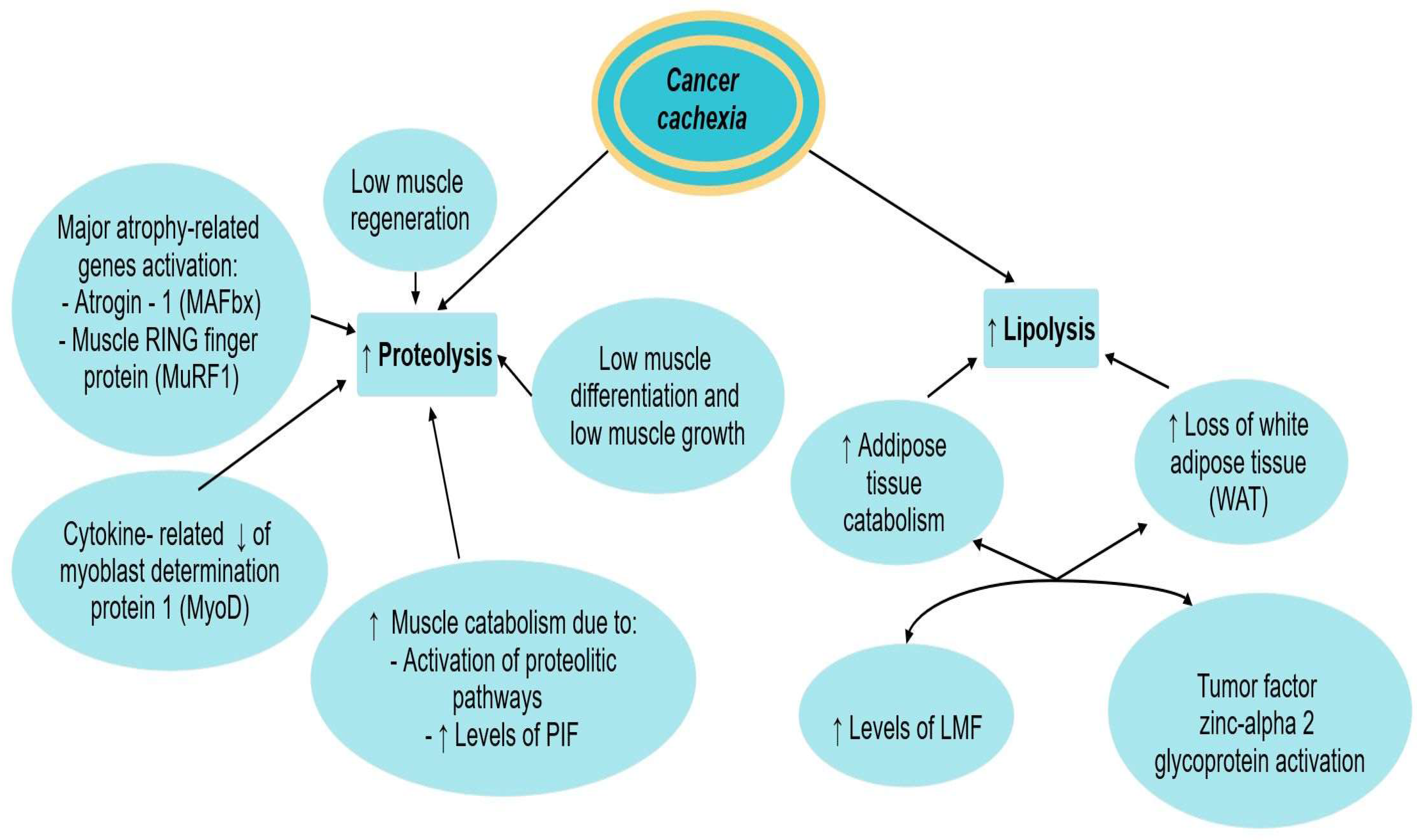 Cancers 15 05590 g002