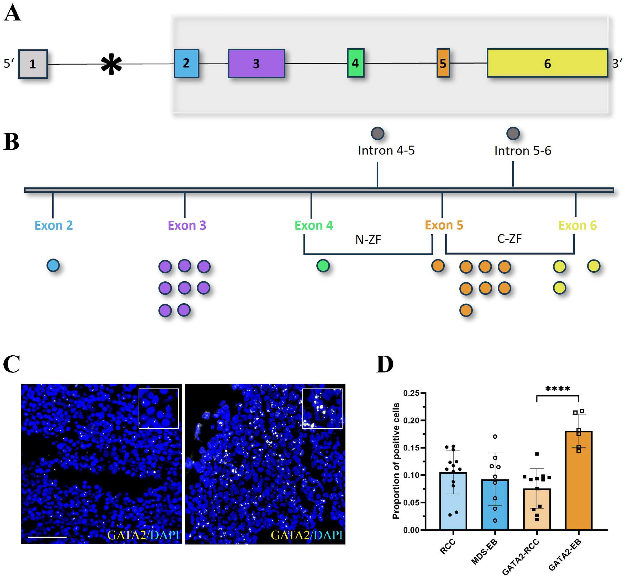 Cancers 15 05594 g001