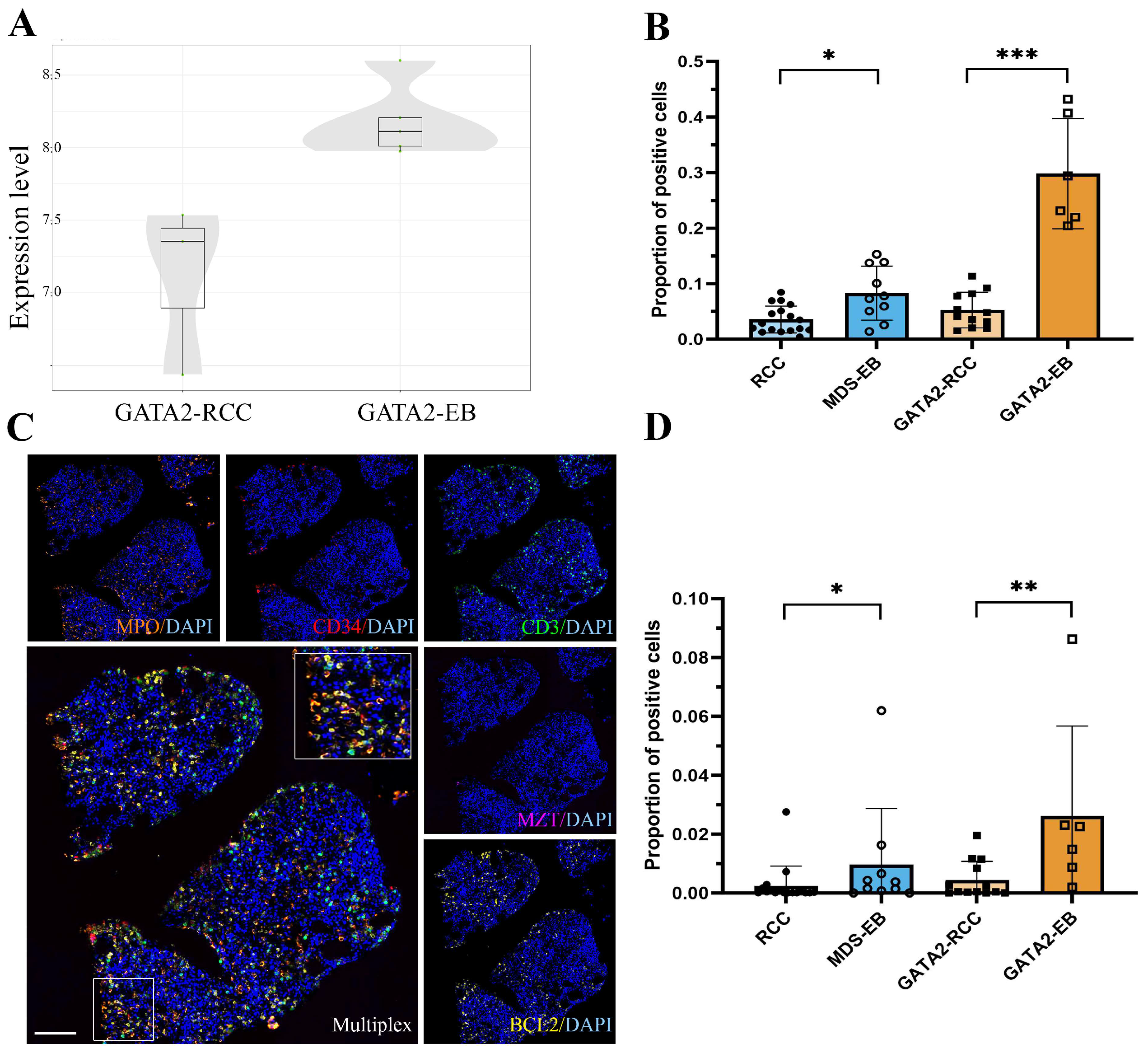 Cancers 15 05594 g004