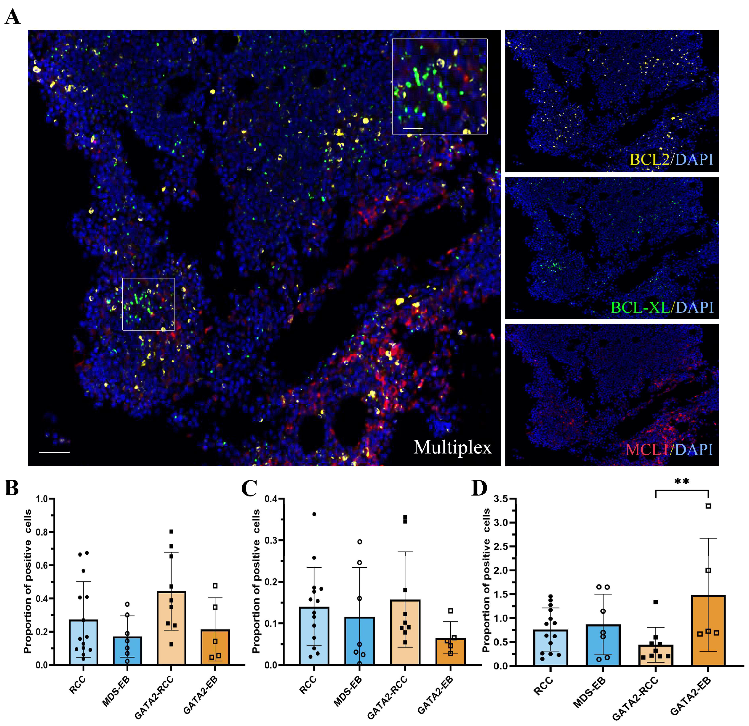 Cancers 15 05594 g005