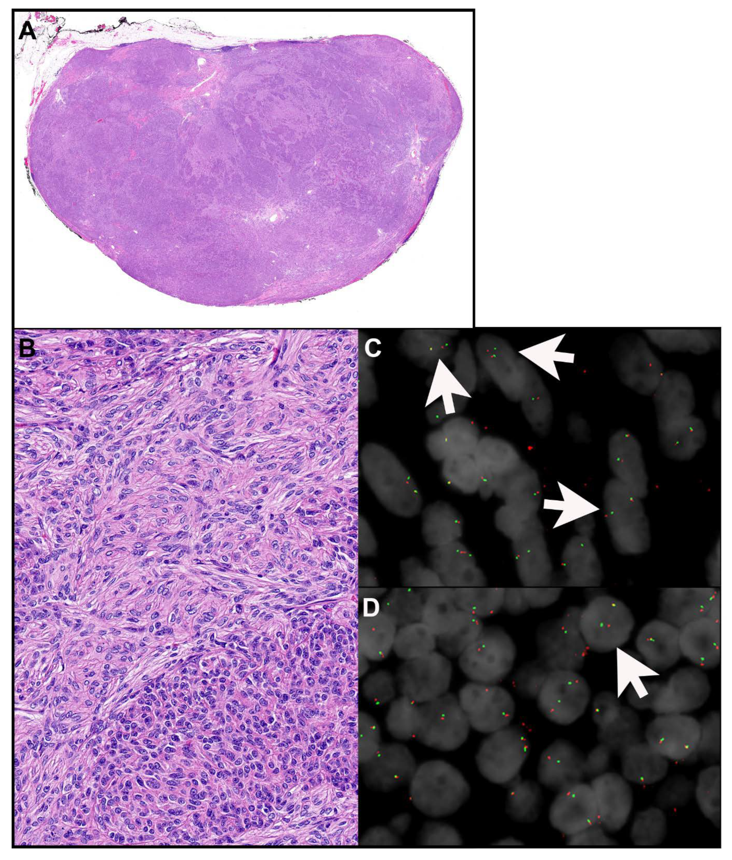 Cancers 15 05596 g002