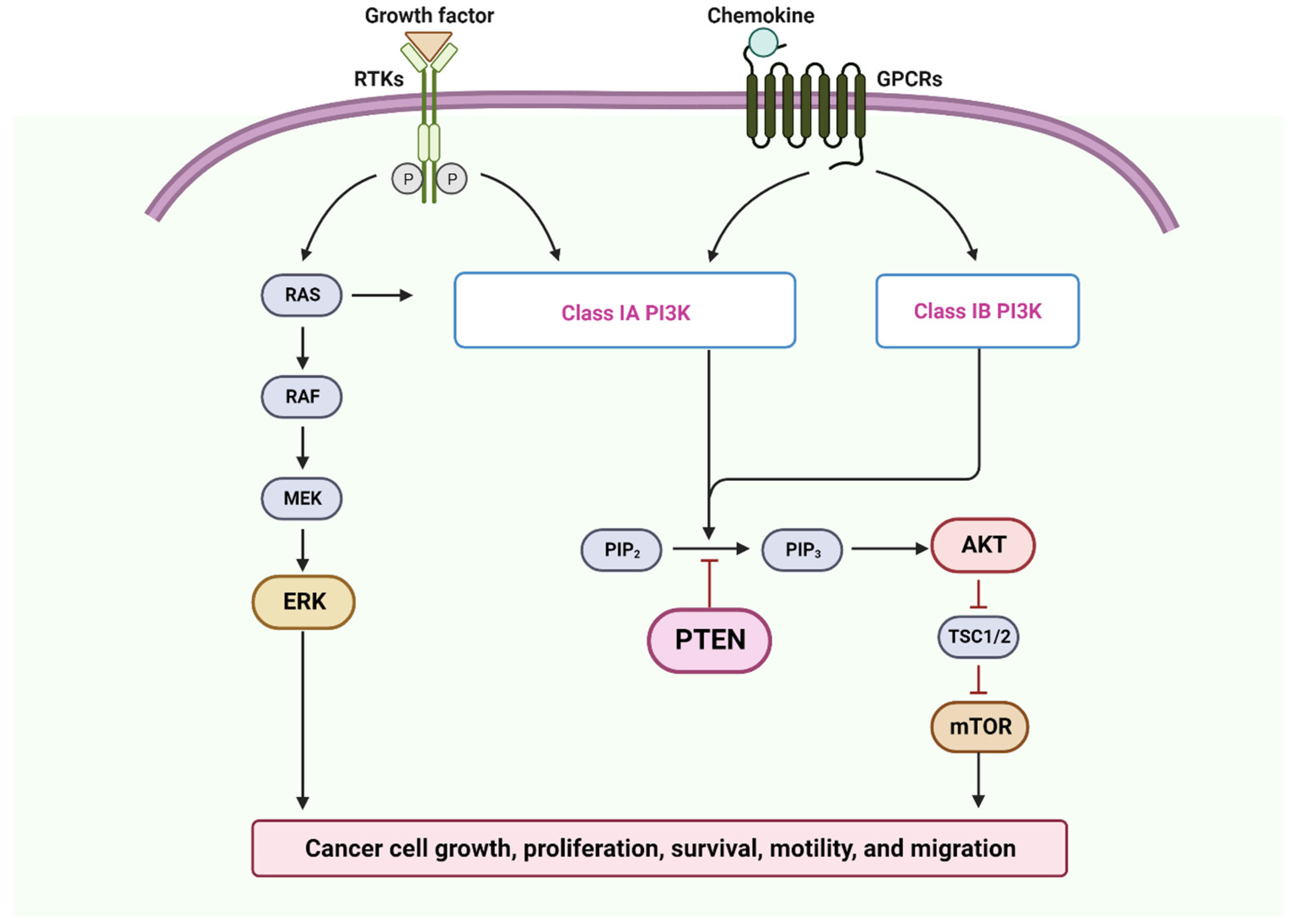 Cancers 15 05600 g005 Cancers 15 05600 g005