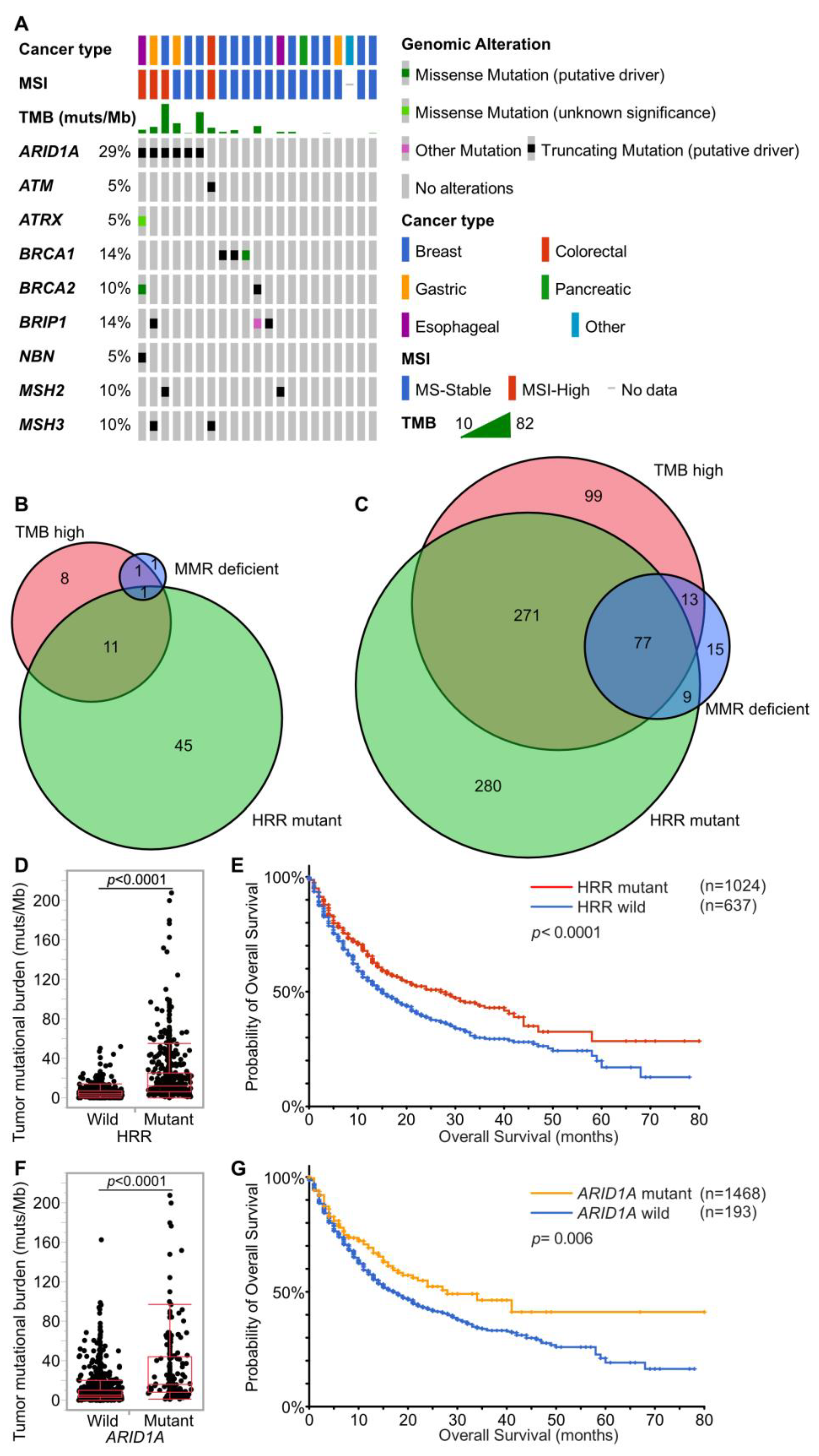 Cancers 15 05608 g003