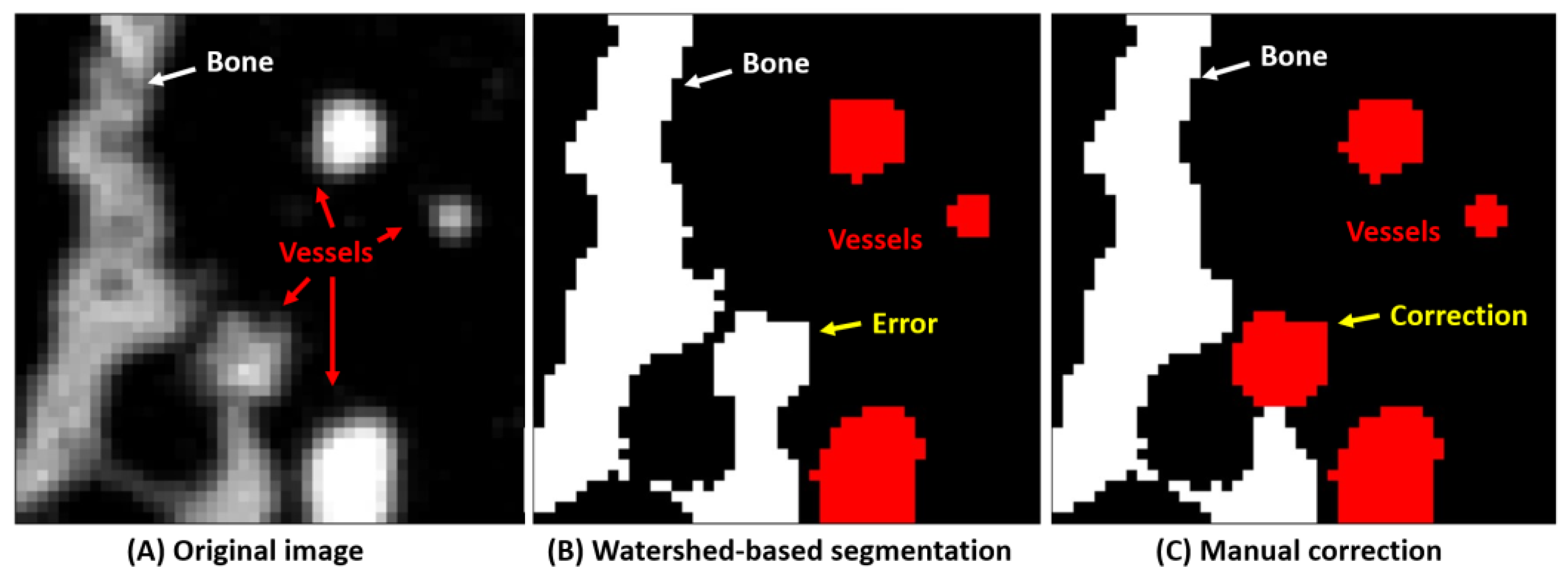 Cancers 15 05609 g001