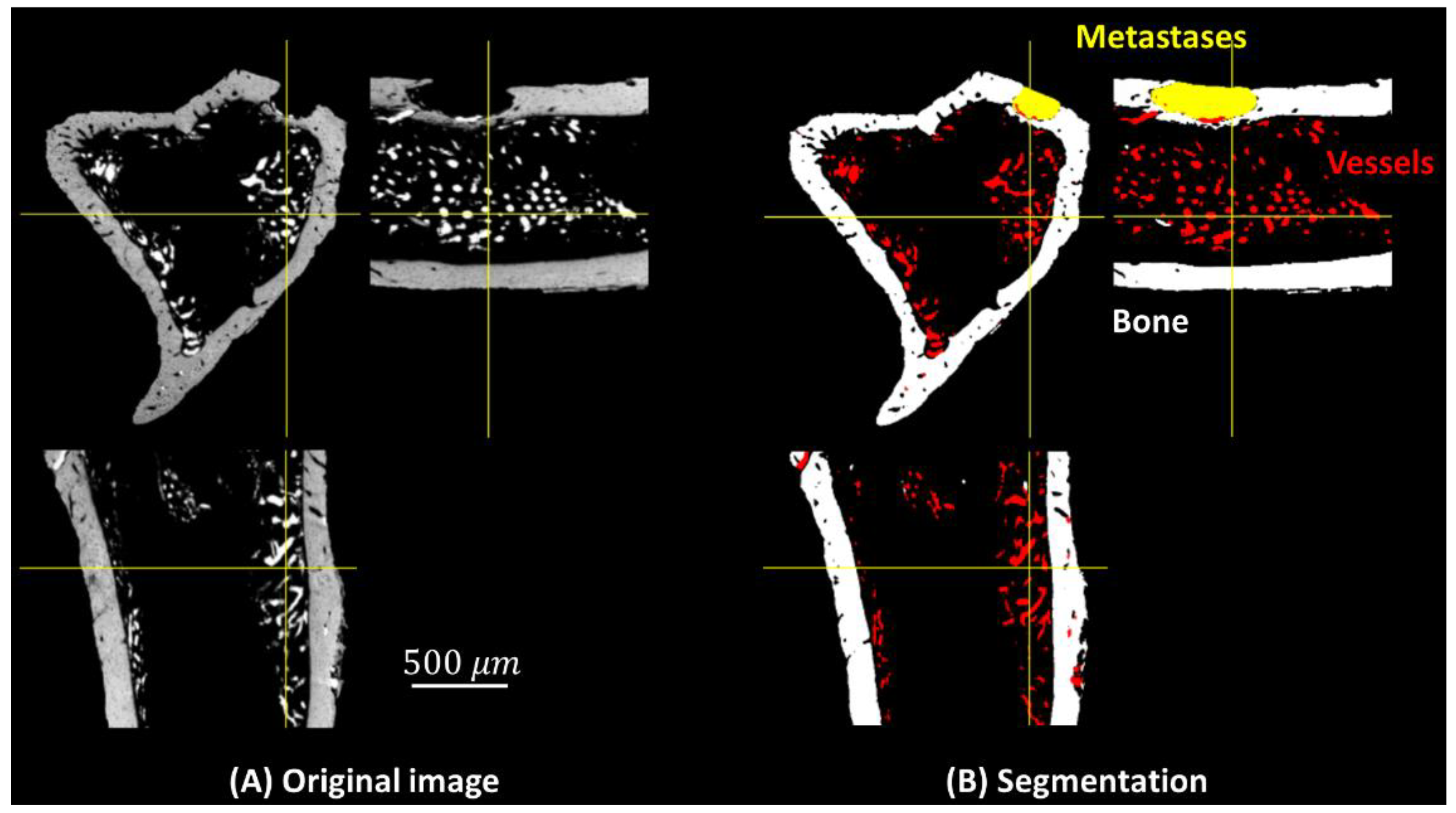 Cancers 15 05609 g003