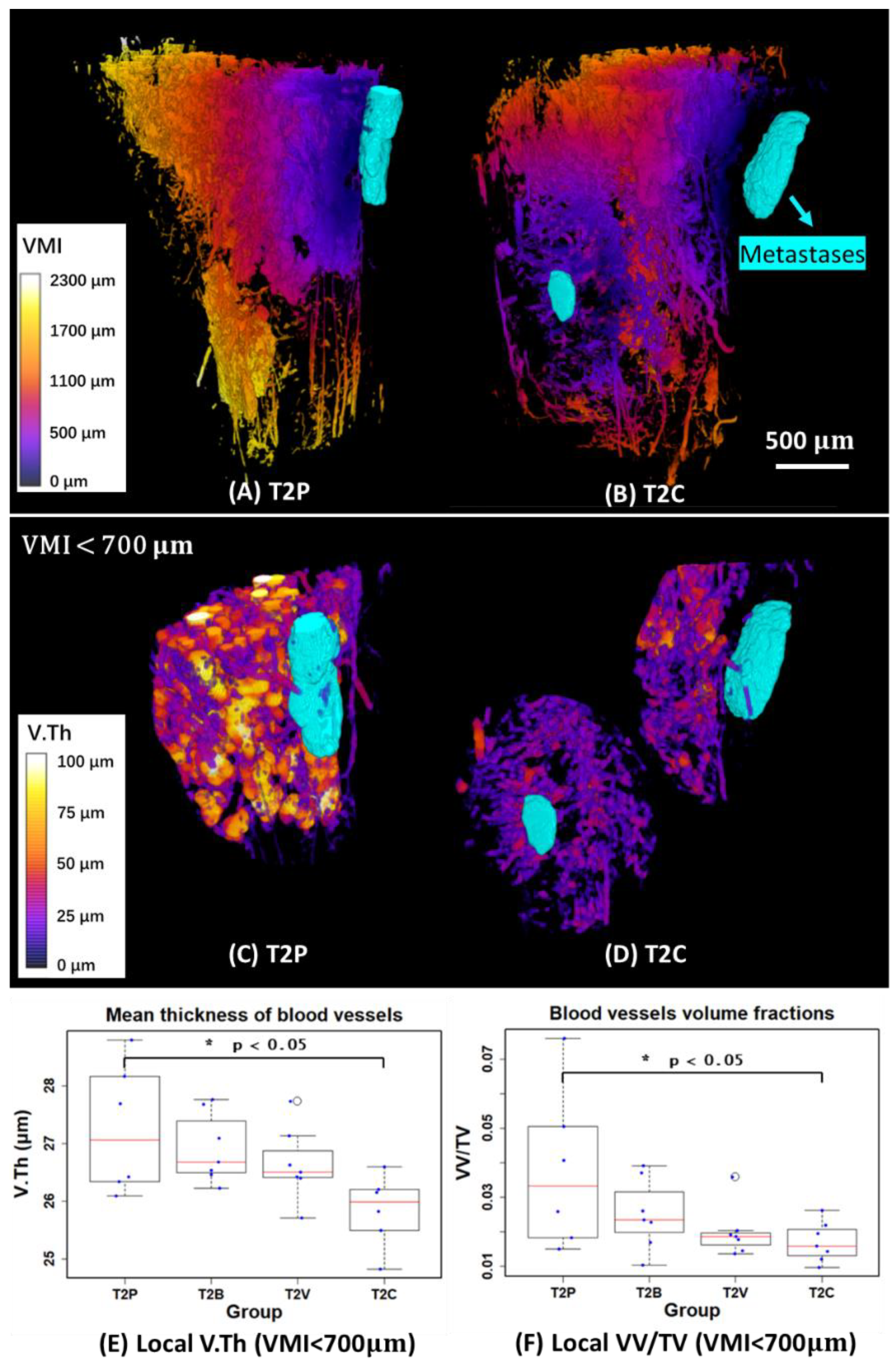 Cancers 15 05609 g007