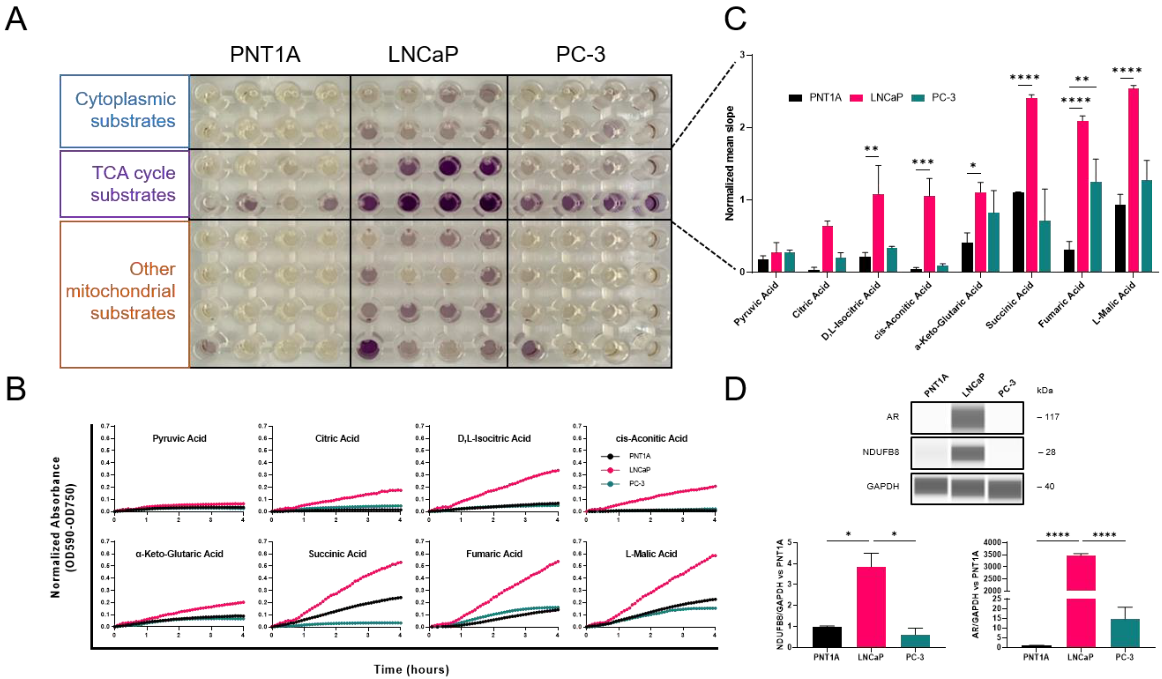 Cancers 15 05612 g001