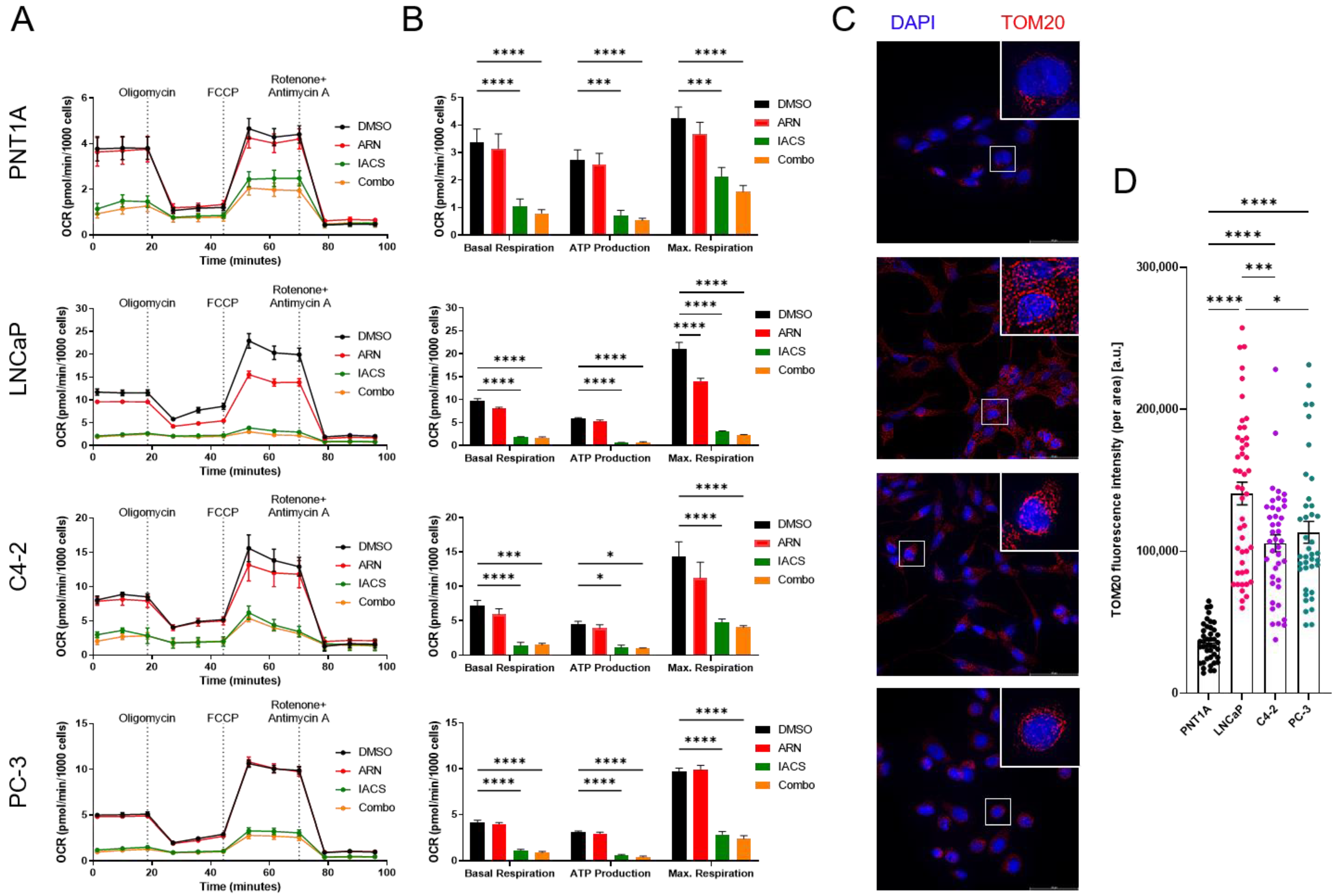 Cancers 15 05612 g003