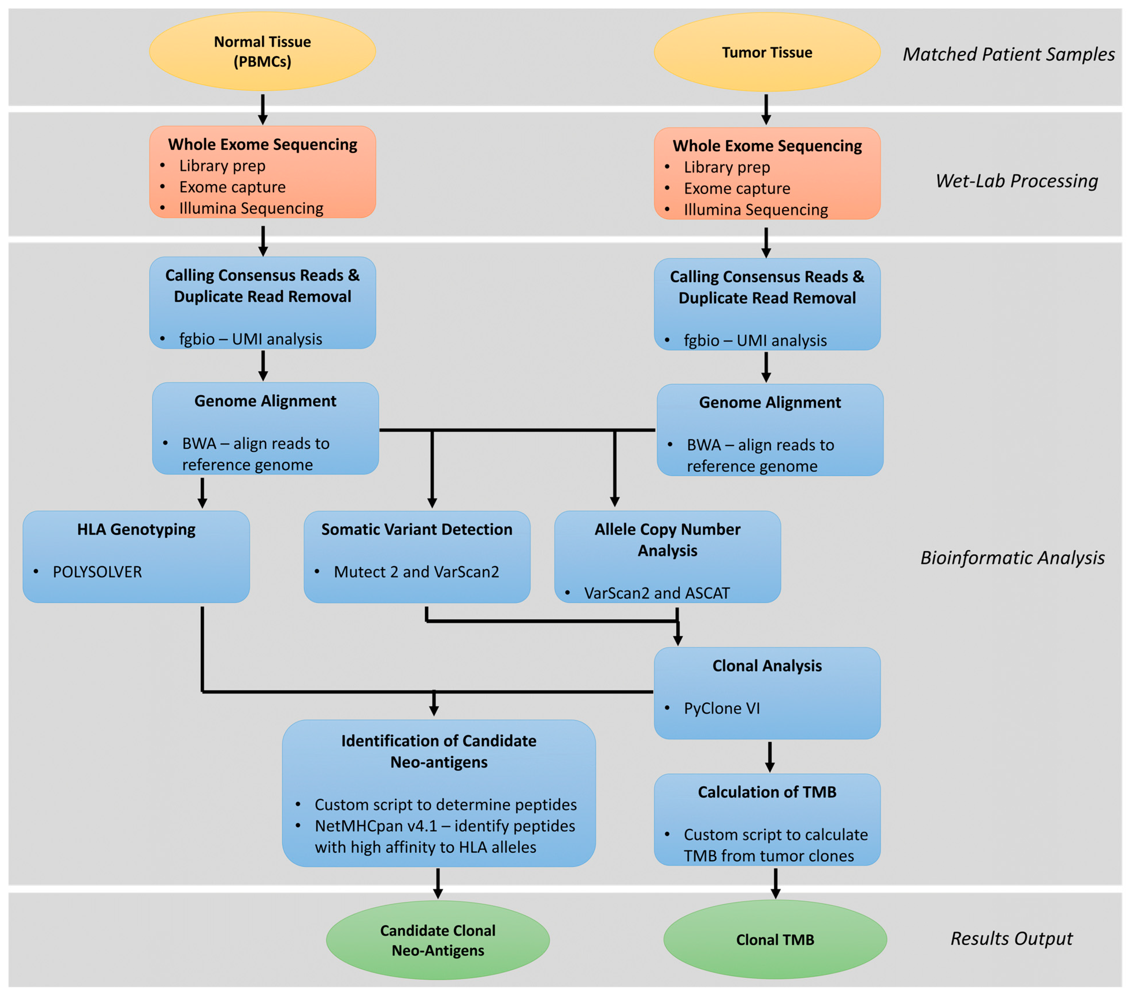 Cancers 15 05616 g003