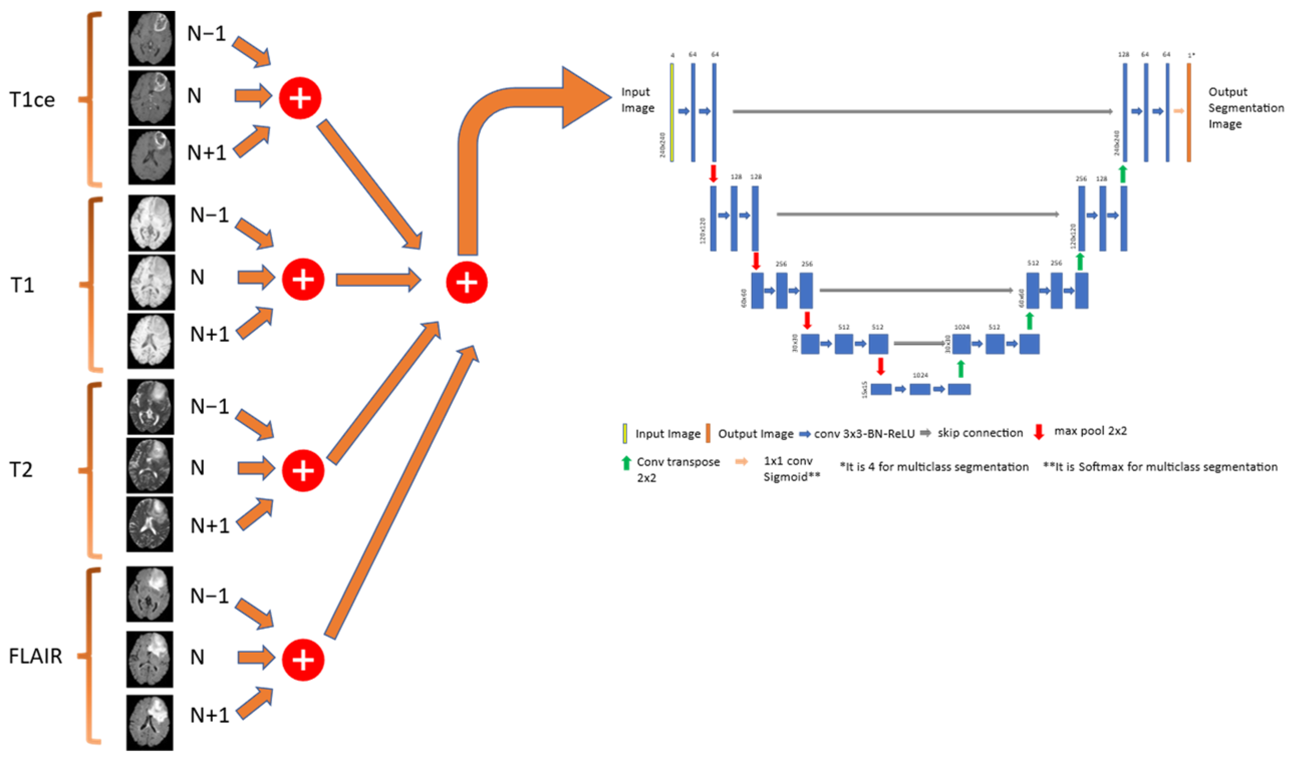 Cancers 15 05620 g005