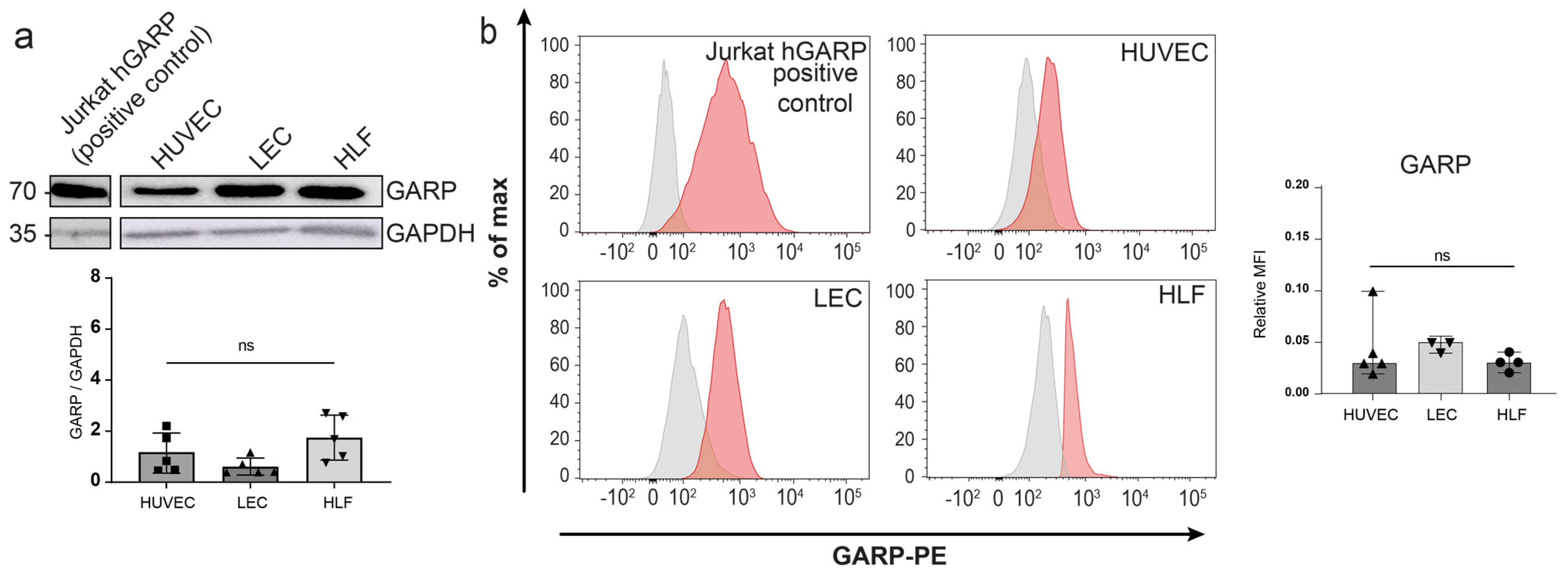 Cancers 15 05621 g002