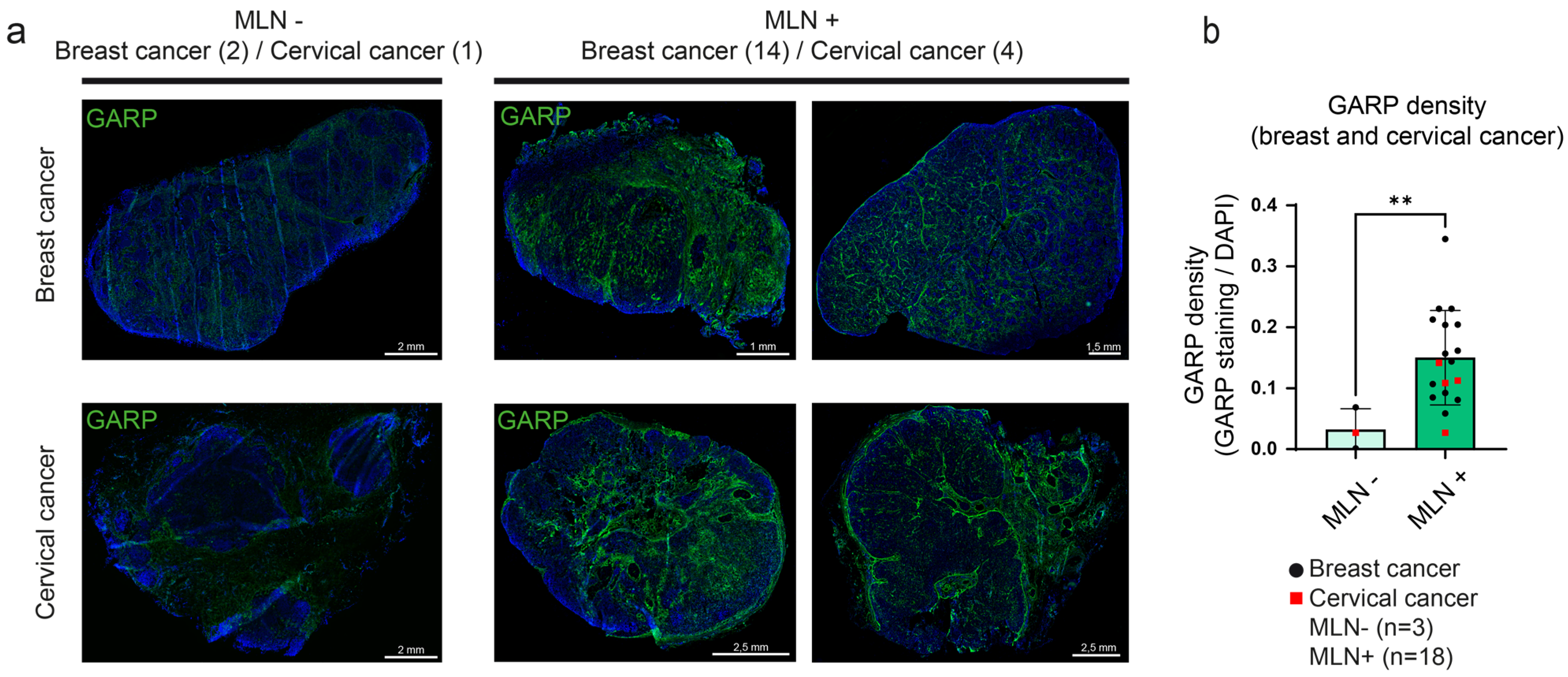 Cancers 15 05621 g003