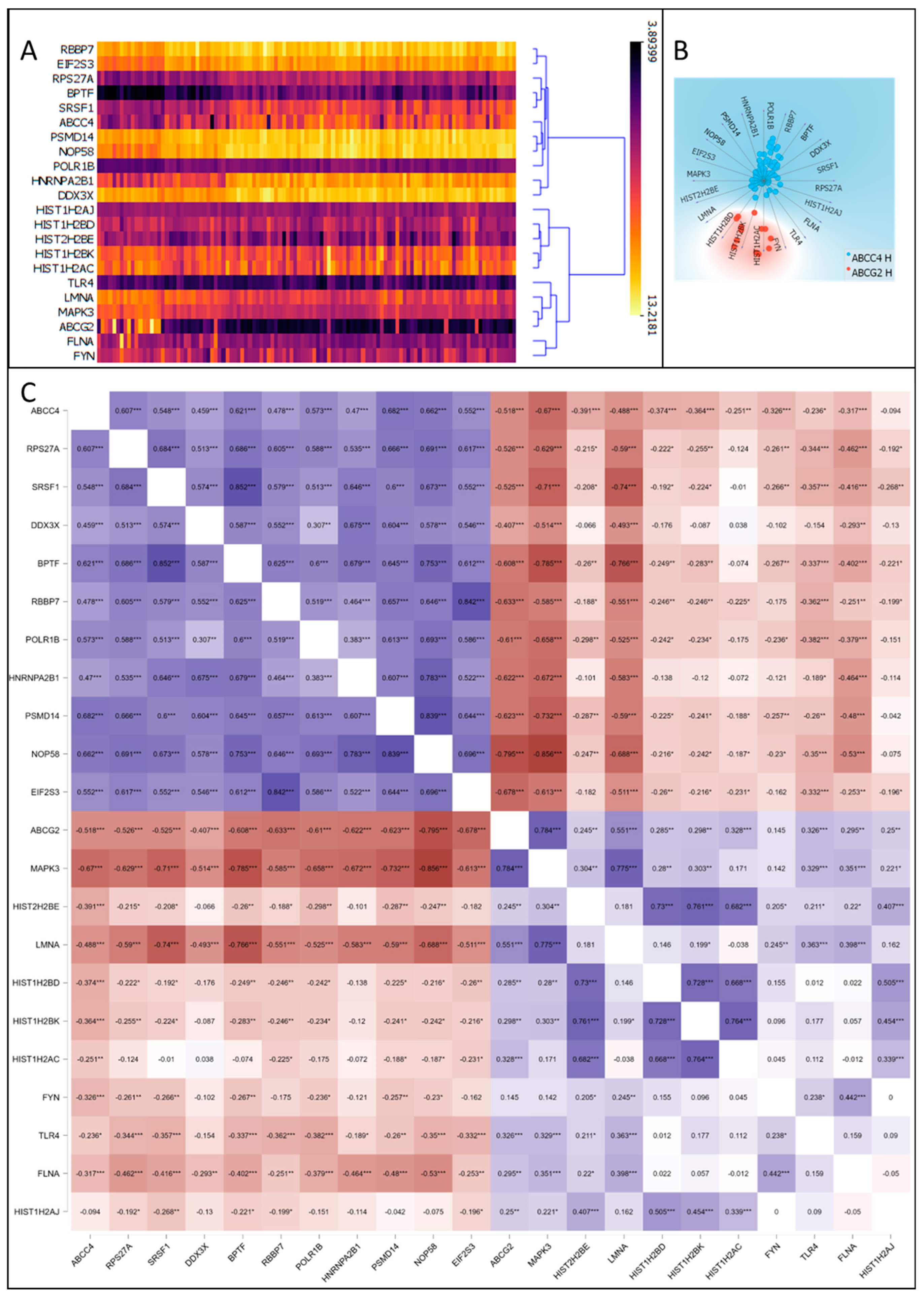 Cancers 15 05623 g005