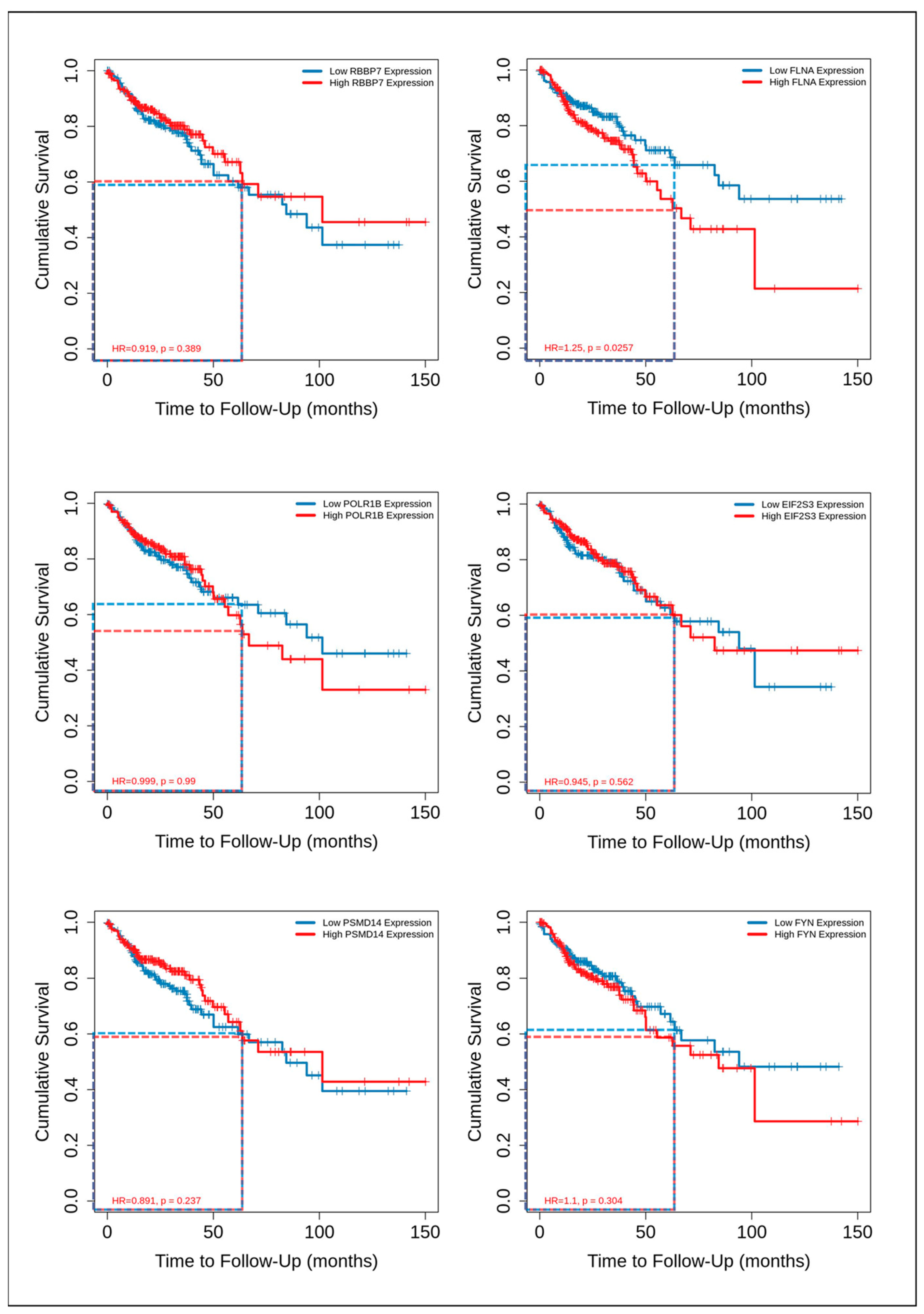 Cancers 15 05623 g008
