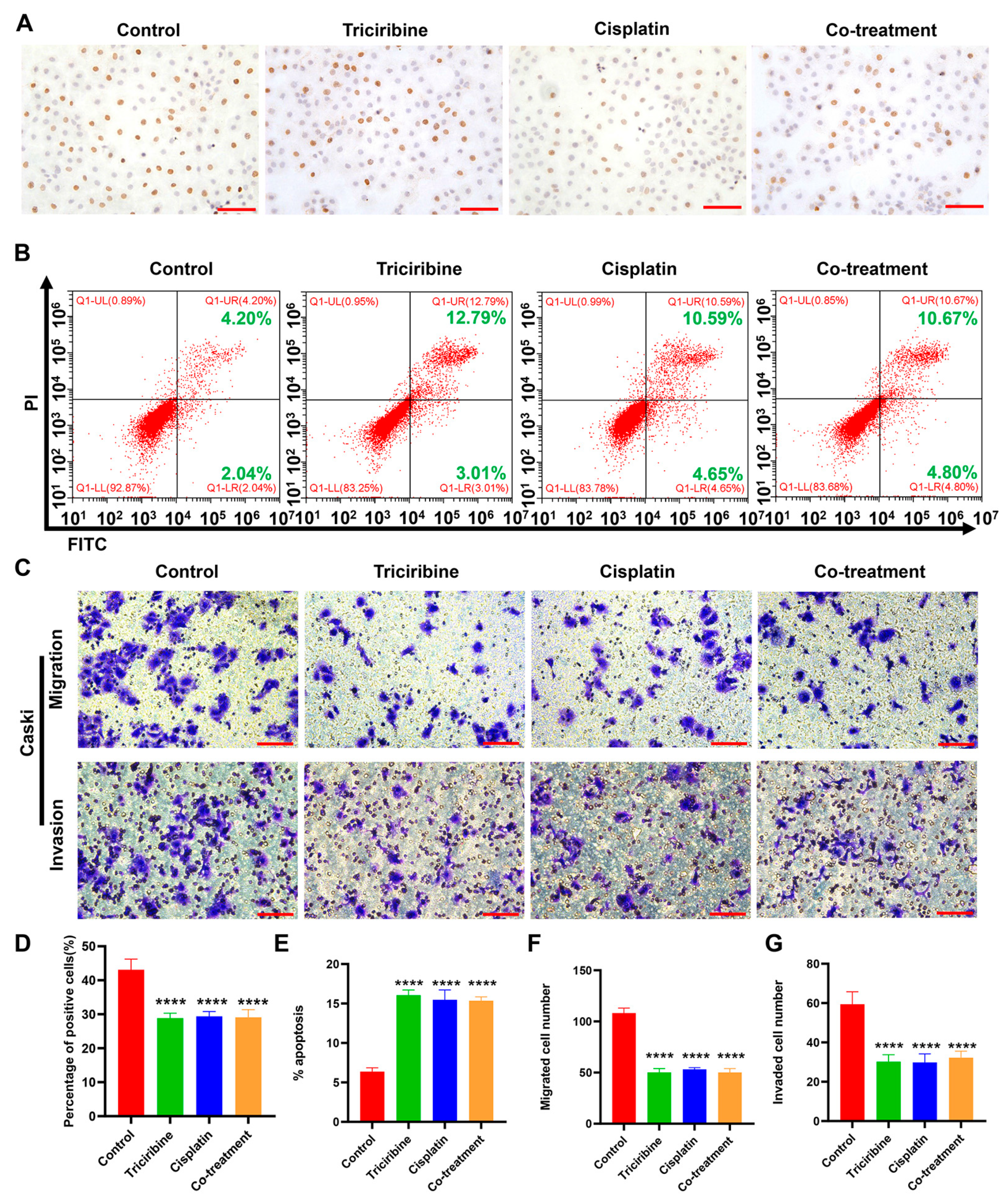 Cancers 15 05625 g007