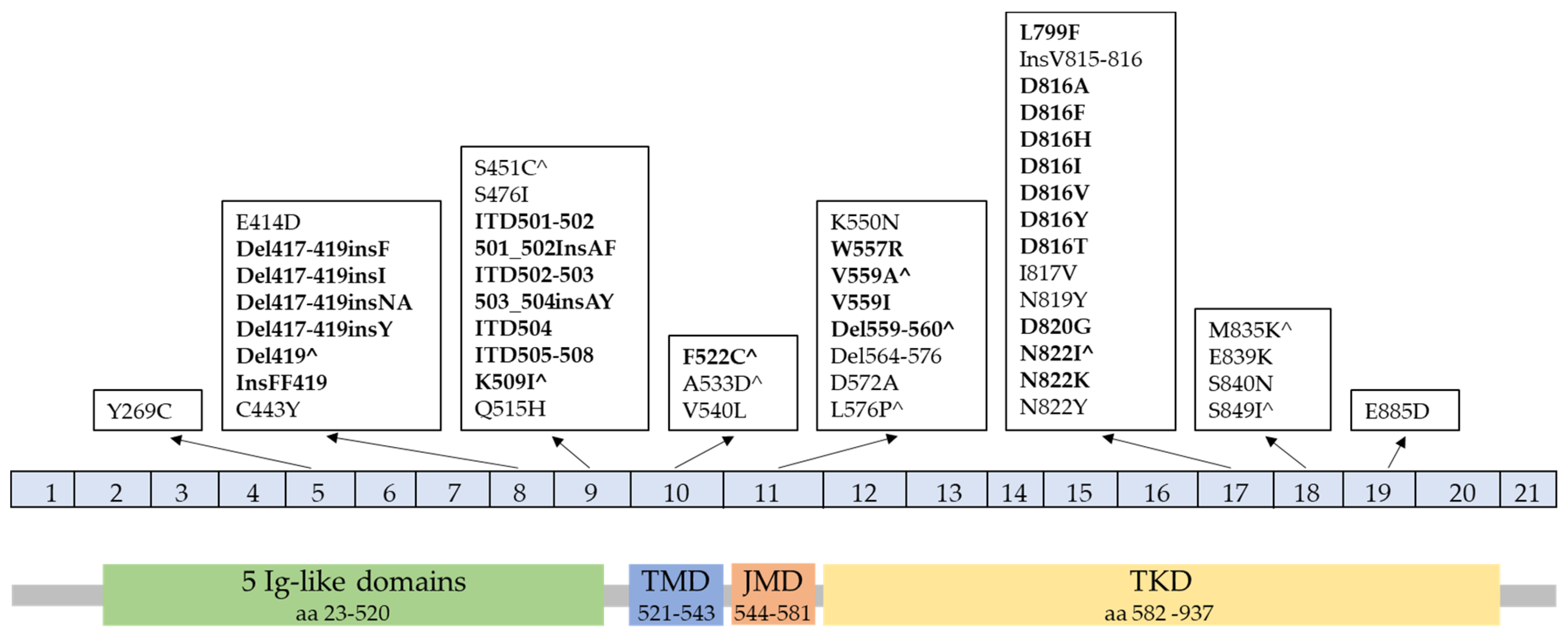Cancers 15 05626 g001