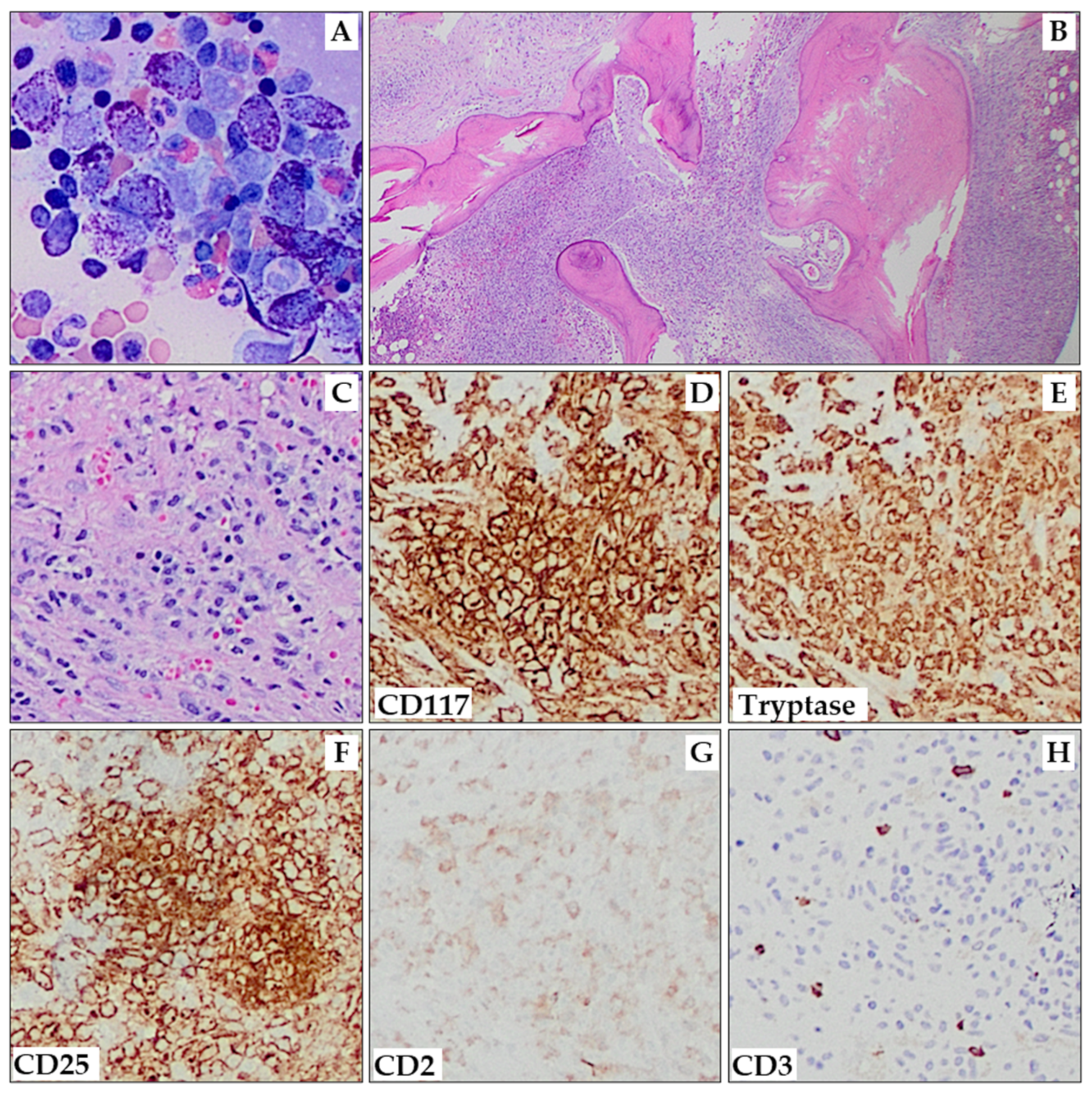 Cancers 15 05626 g002