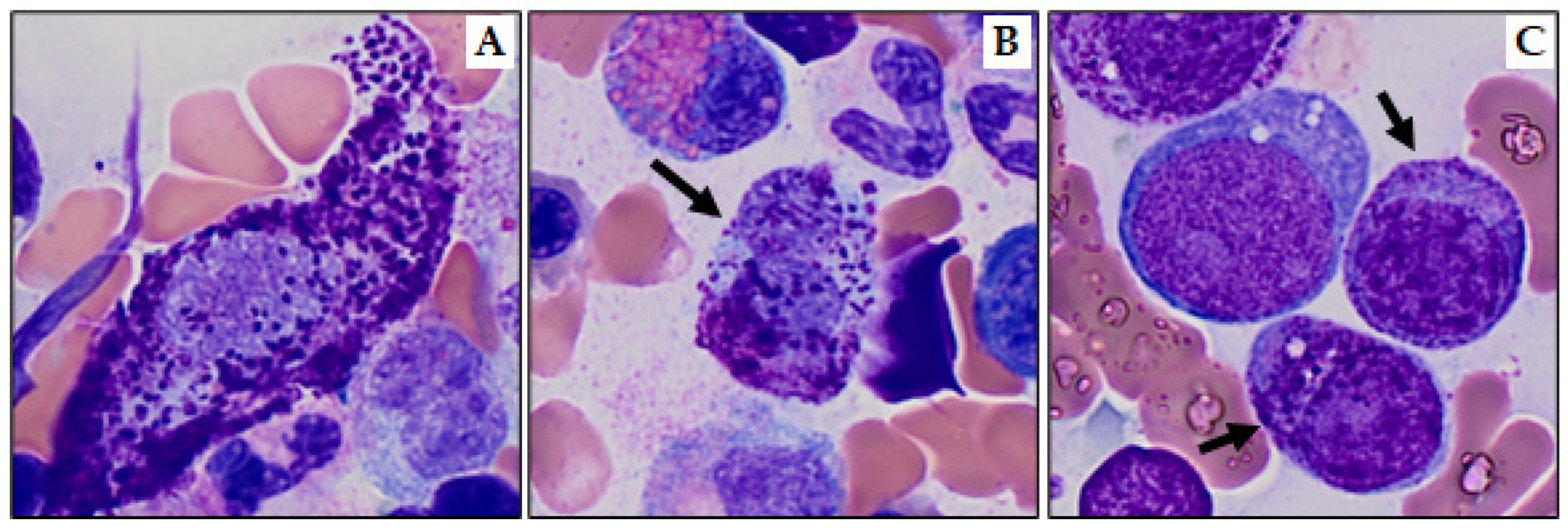 Cancers 15 05626 g004