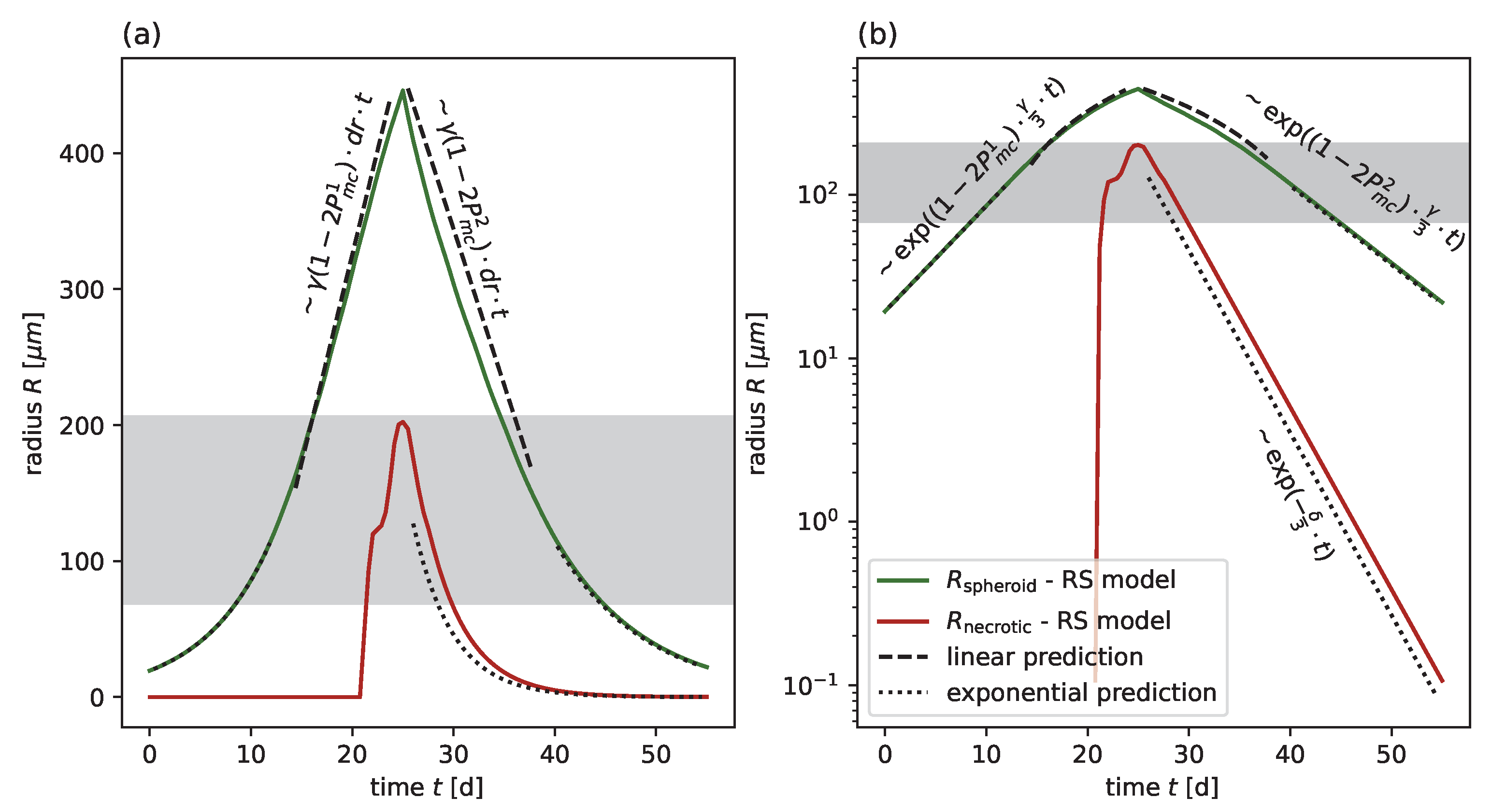 Efficient Radial-Shell Model for 3D Tumor Spheroid Dynamics with ...