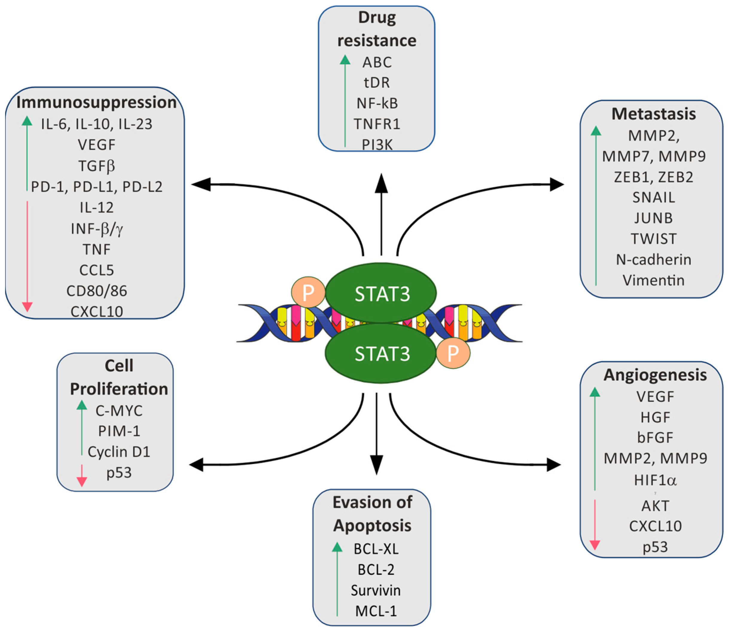 Cancers 15 05647 g002 Cancers 15 05647 g002