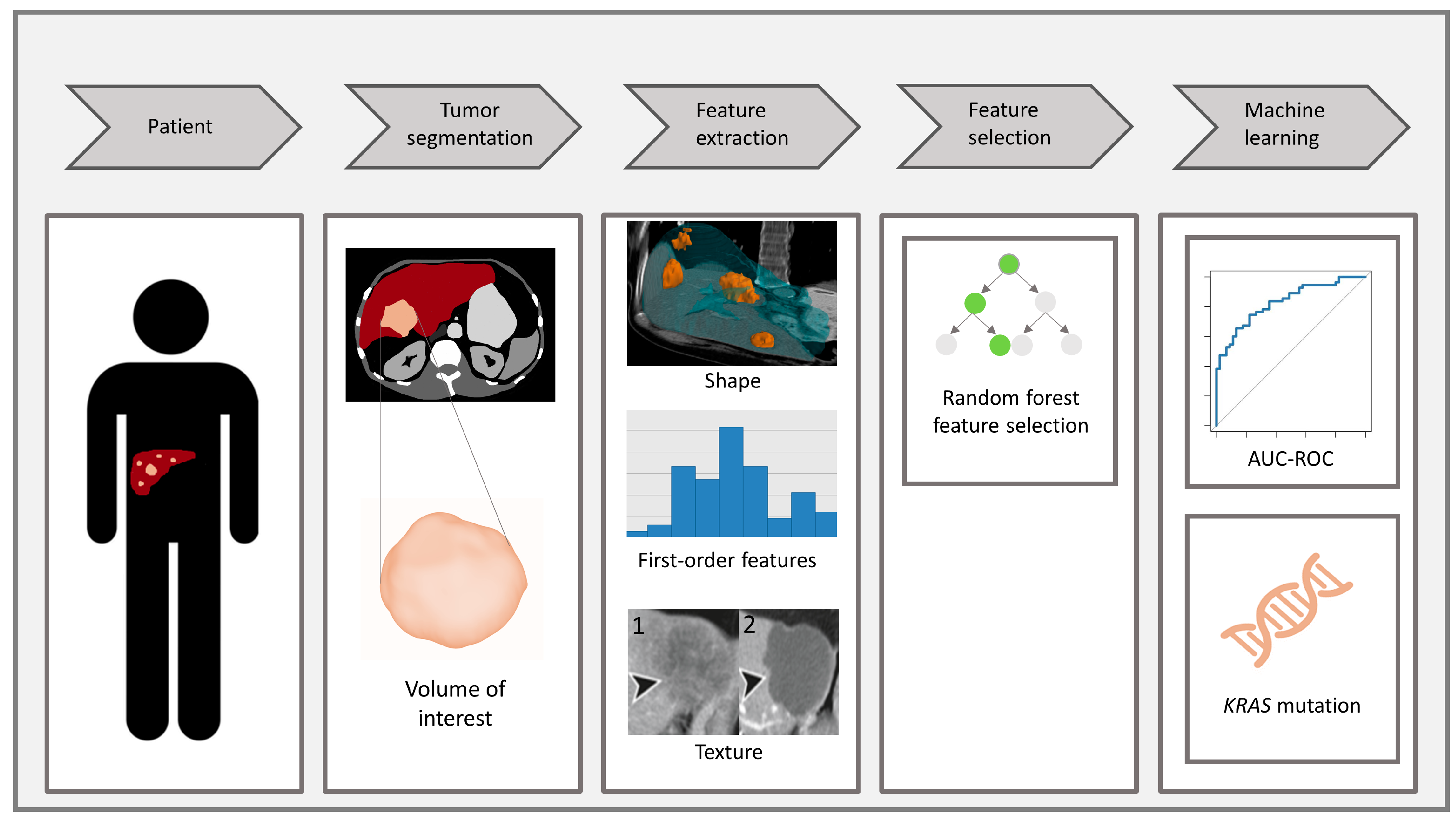 Cancers 15 05648 g001