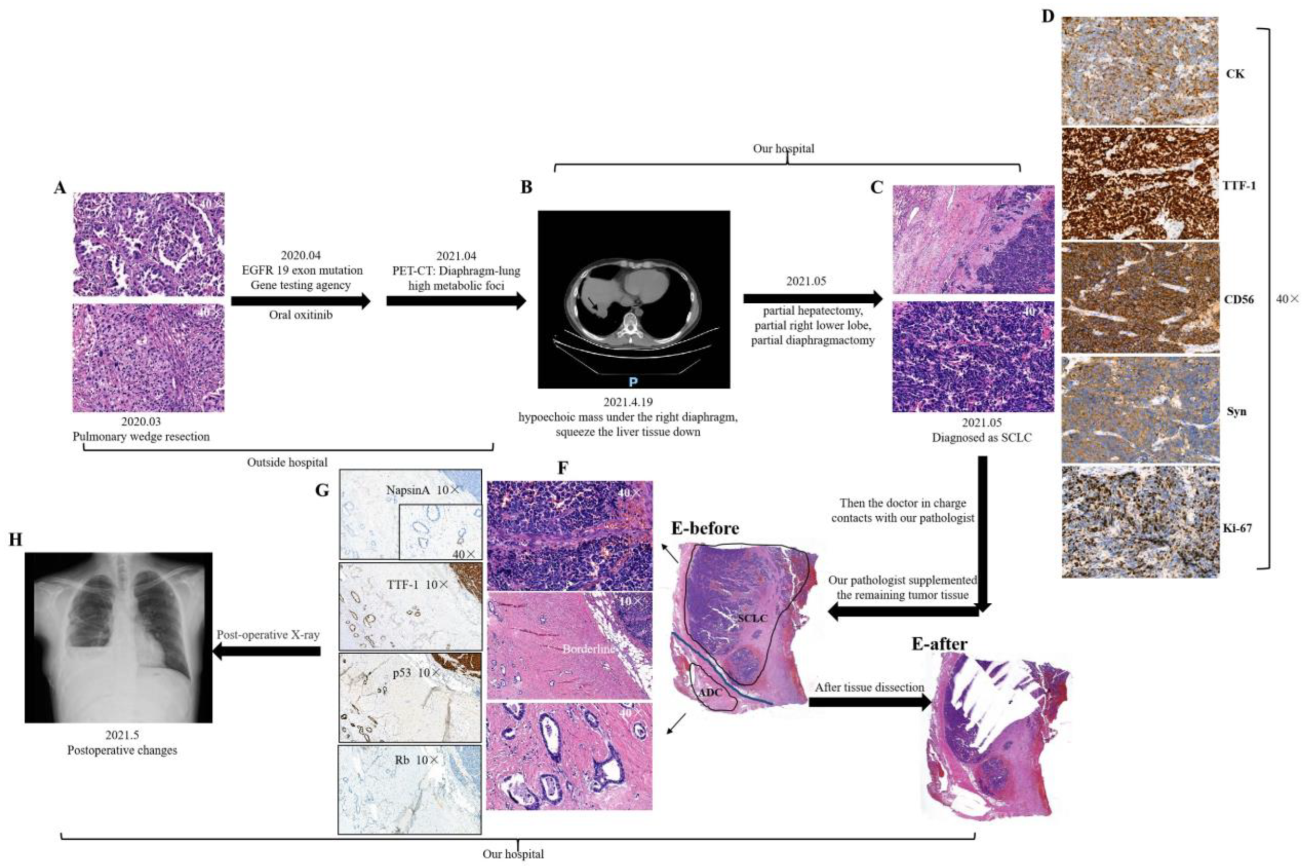 Cancers 15 05649 g001