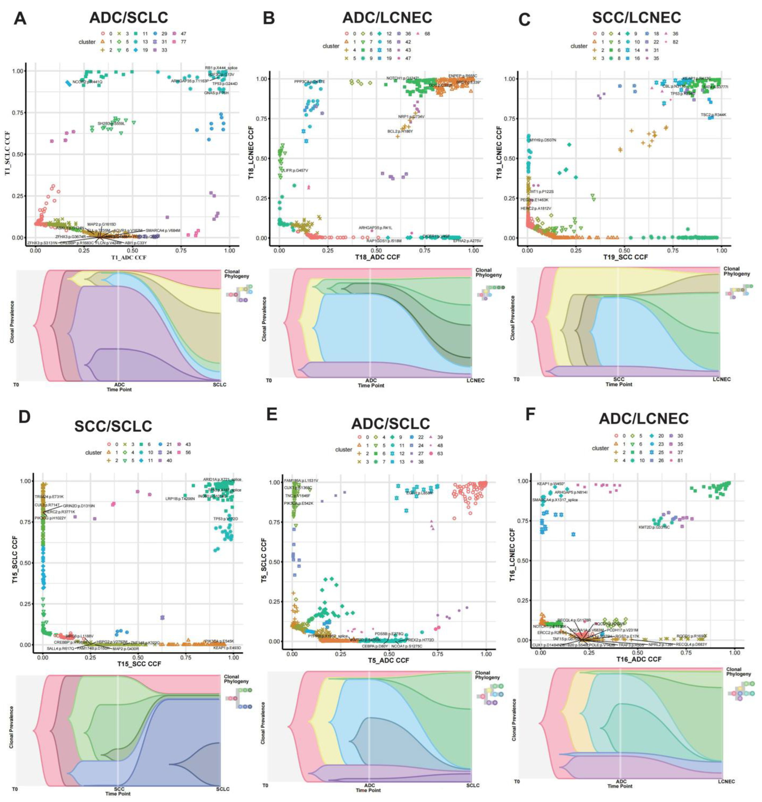 Cancers 15 05649 g003
