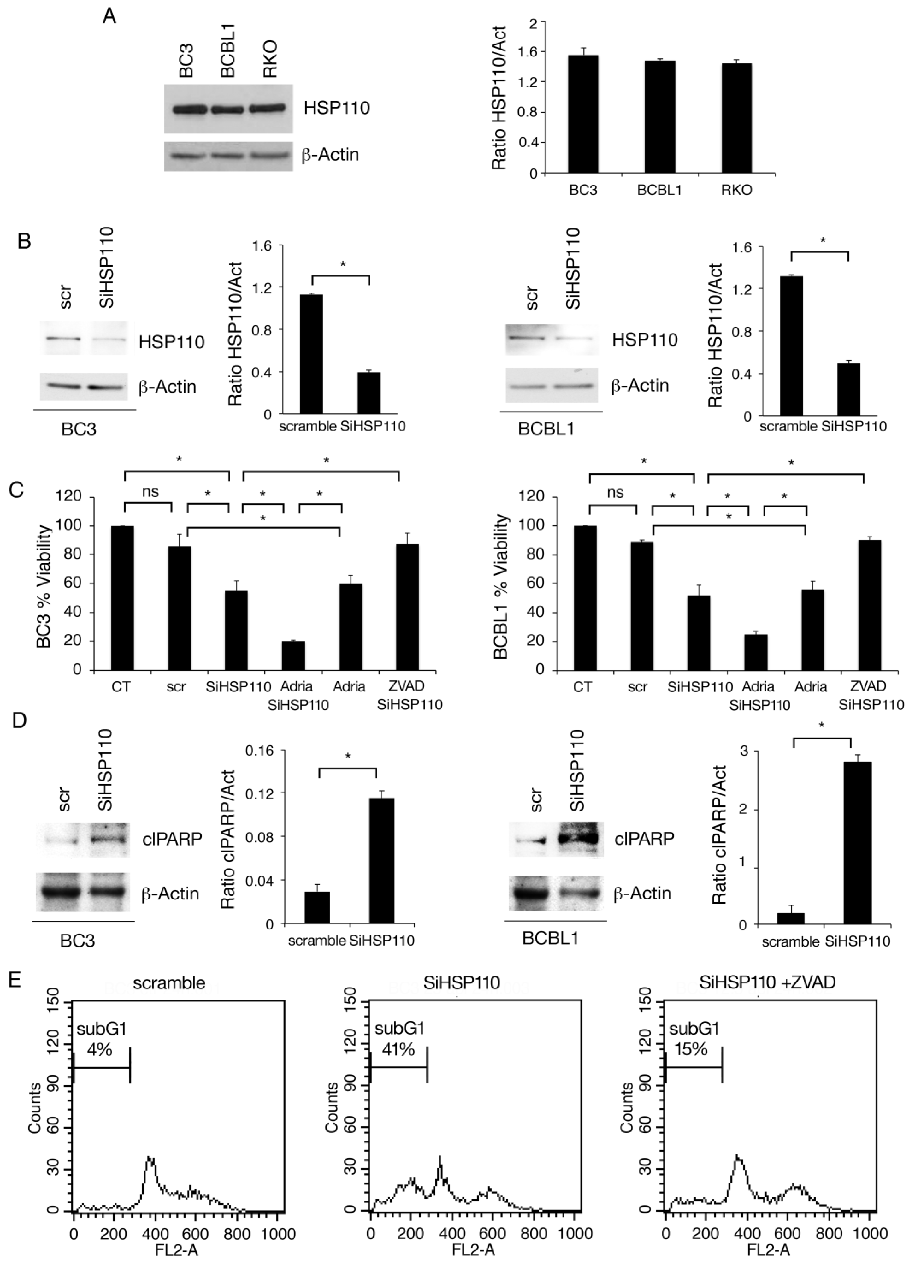 Cancers 15 05651 g001