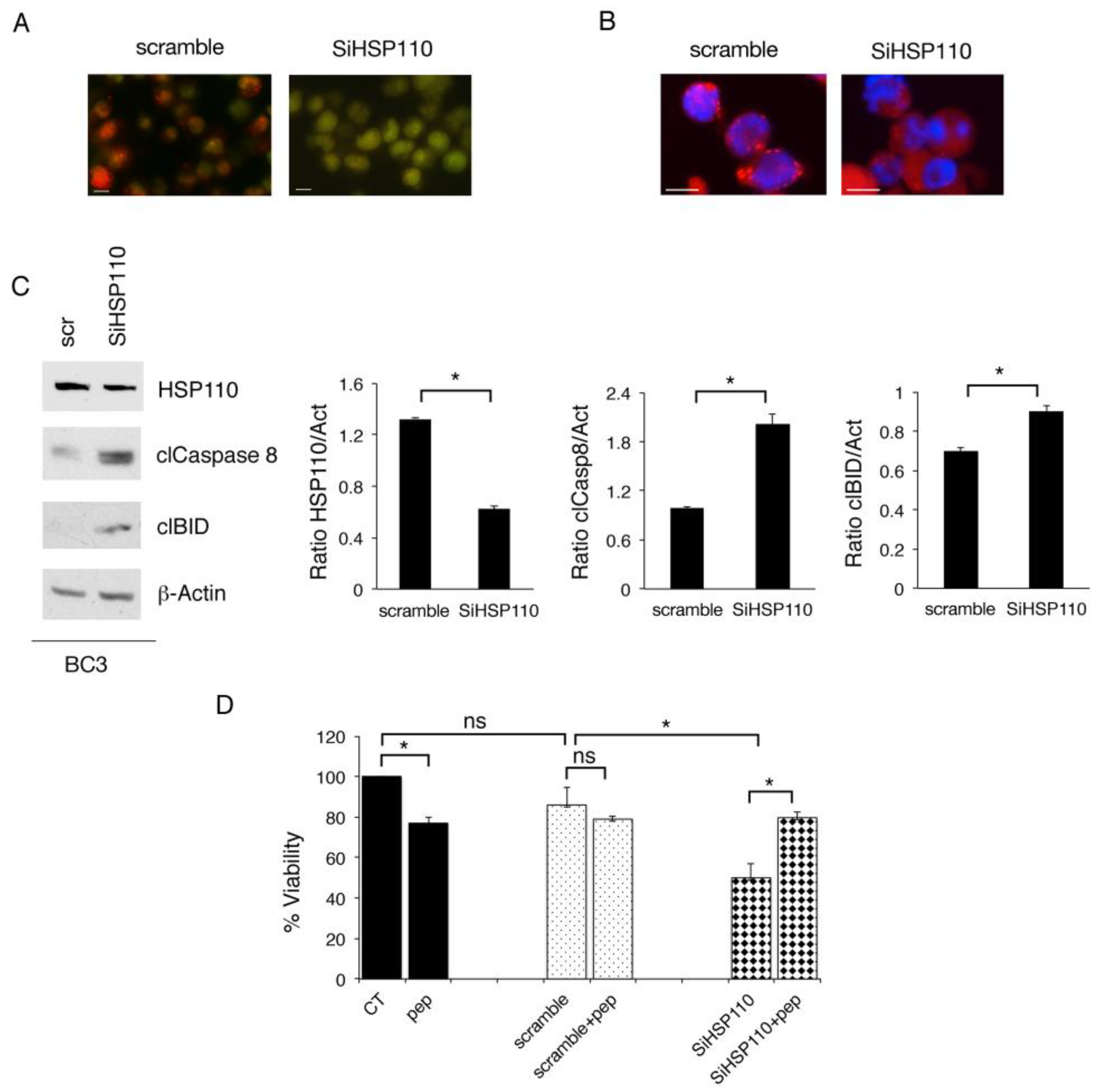 Cancers 15 05651 g002