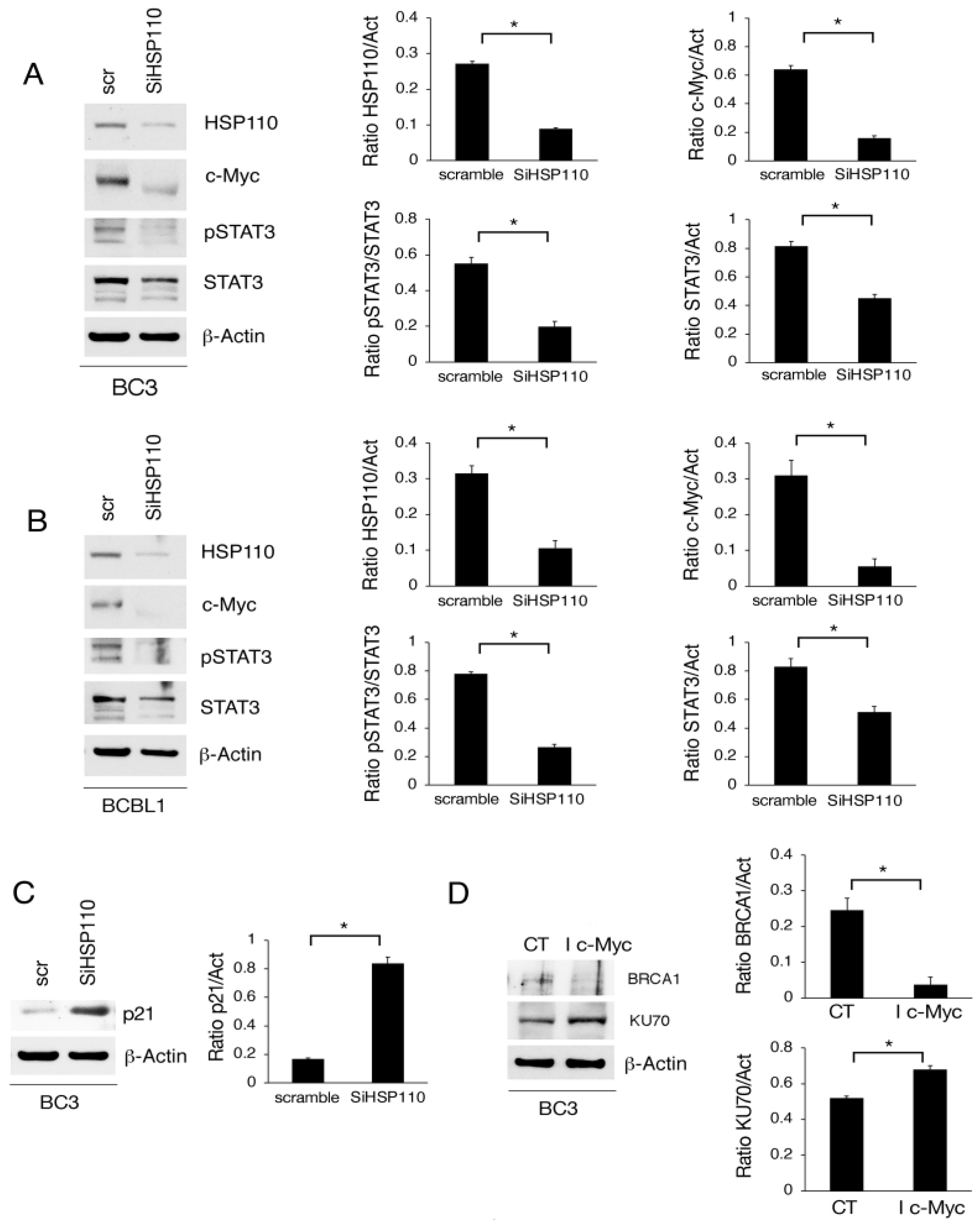 Cancers 15 05651 g004