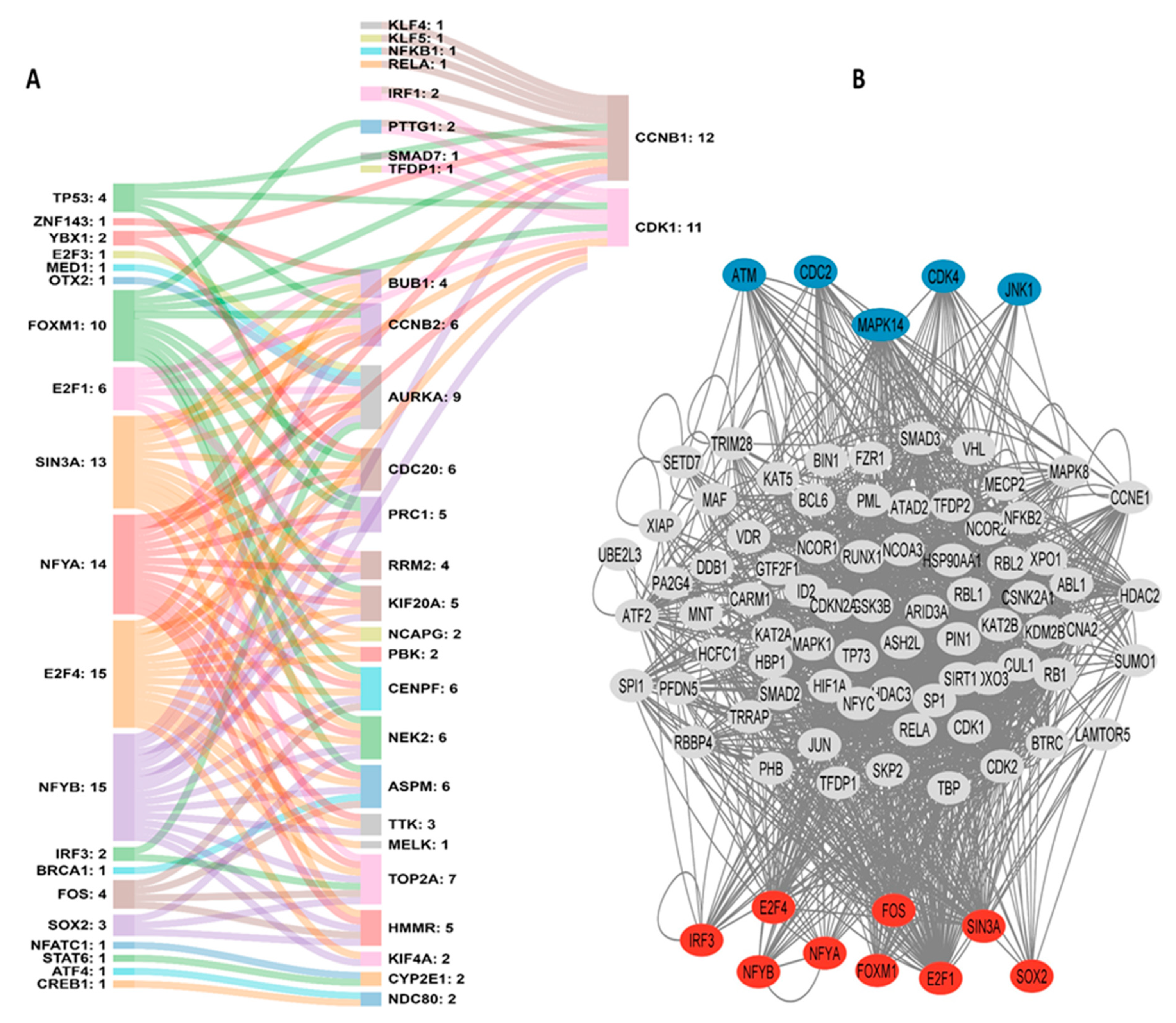 Cancers 15 05653 g004