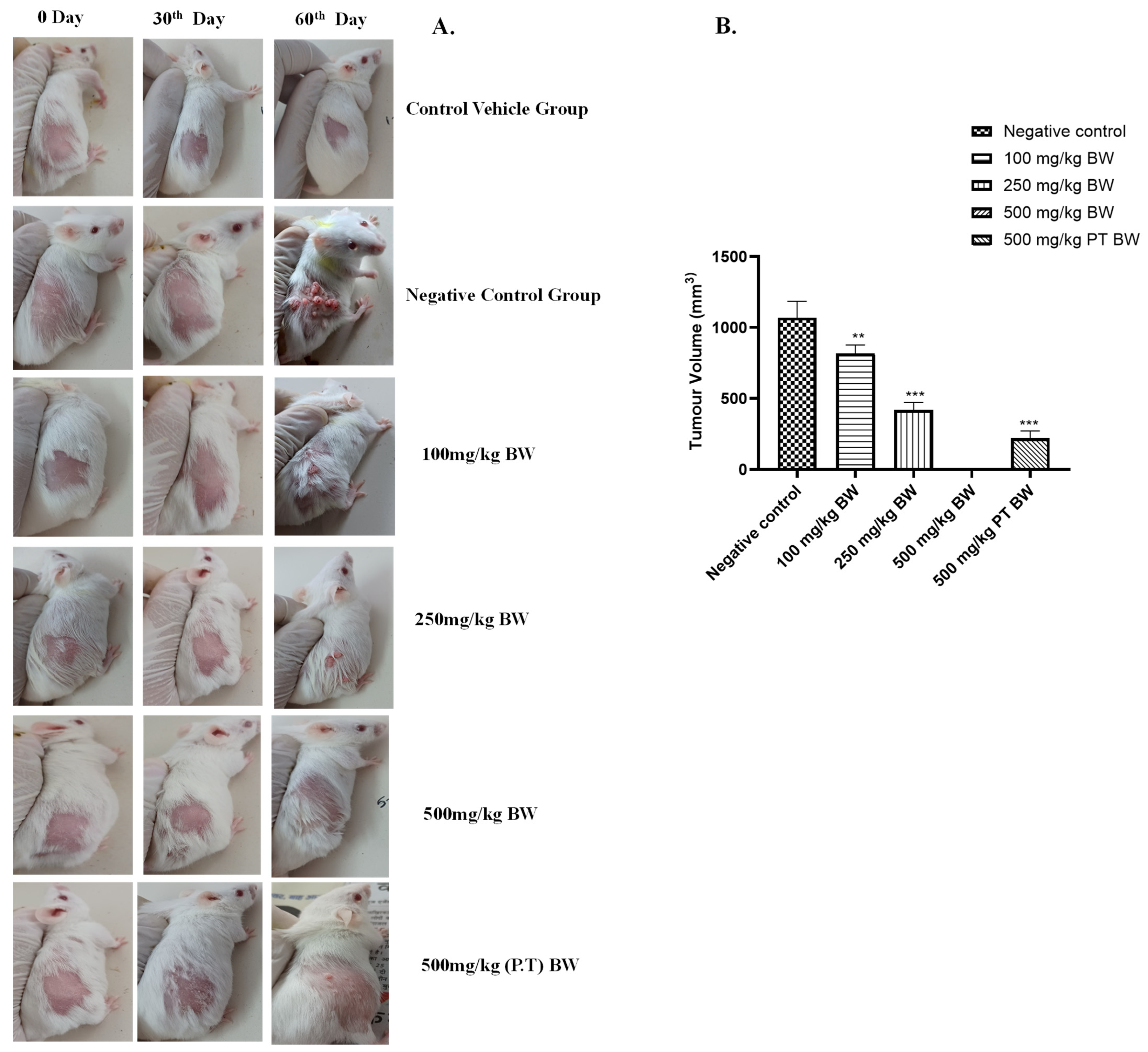 Cancers 15 05654 g003