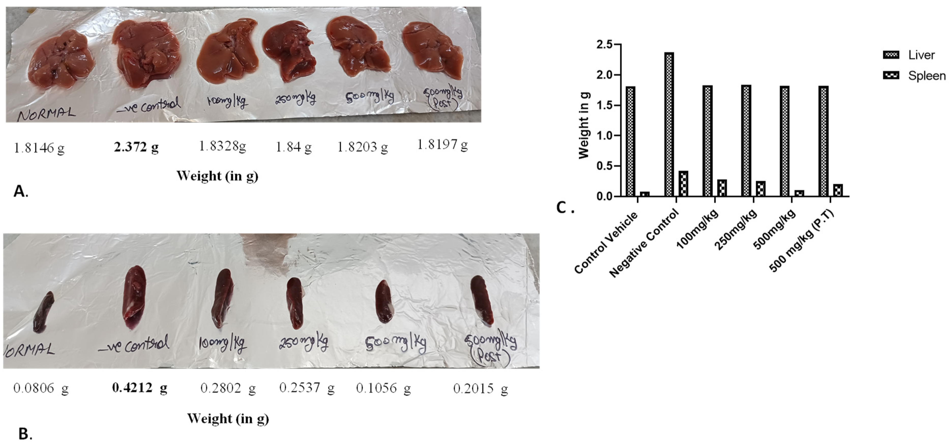 Cancers 15 05654 g007