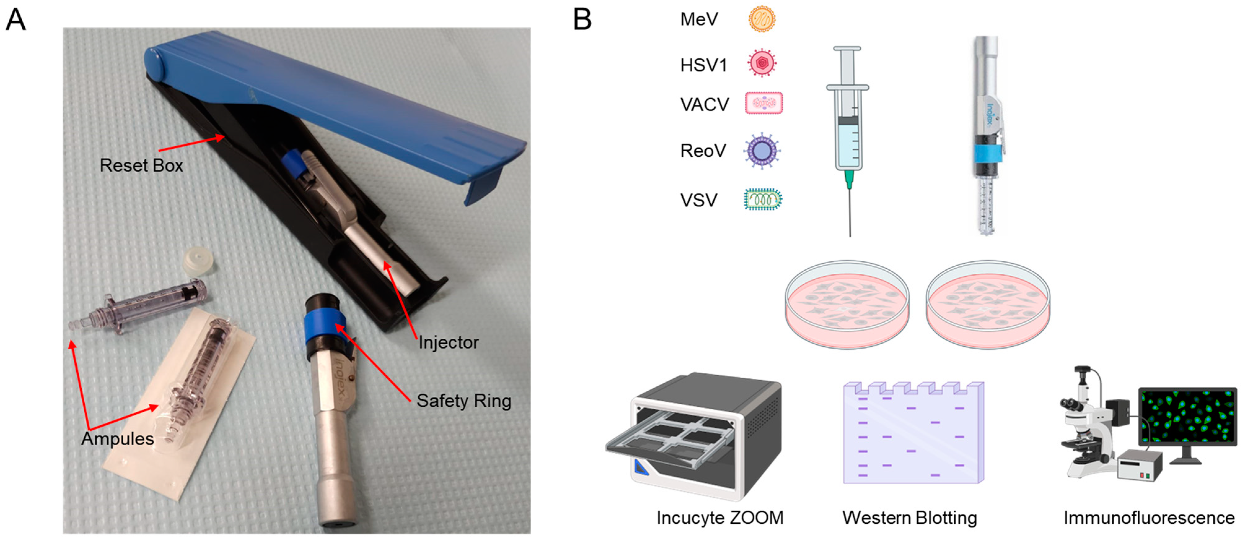 Cancers 15 05655 g001 Cancers 15 05655 g001