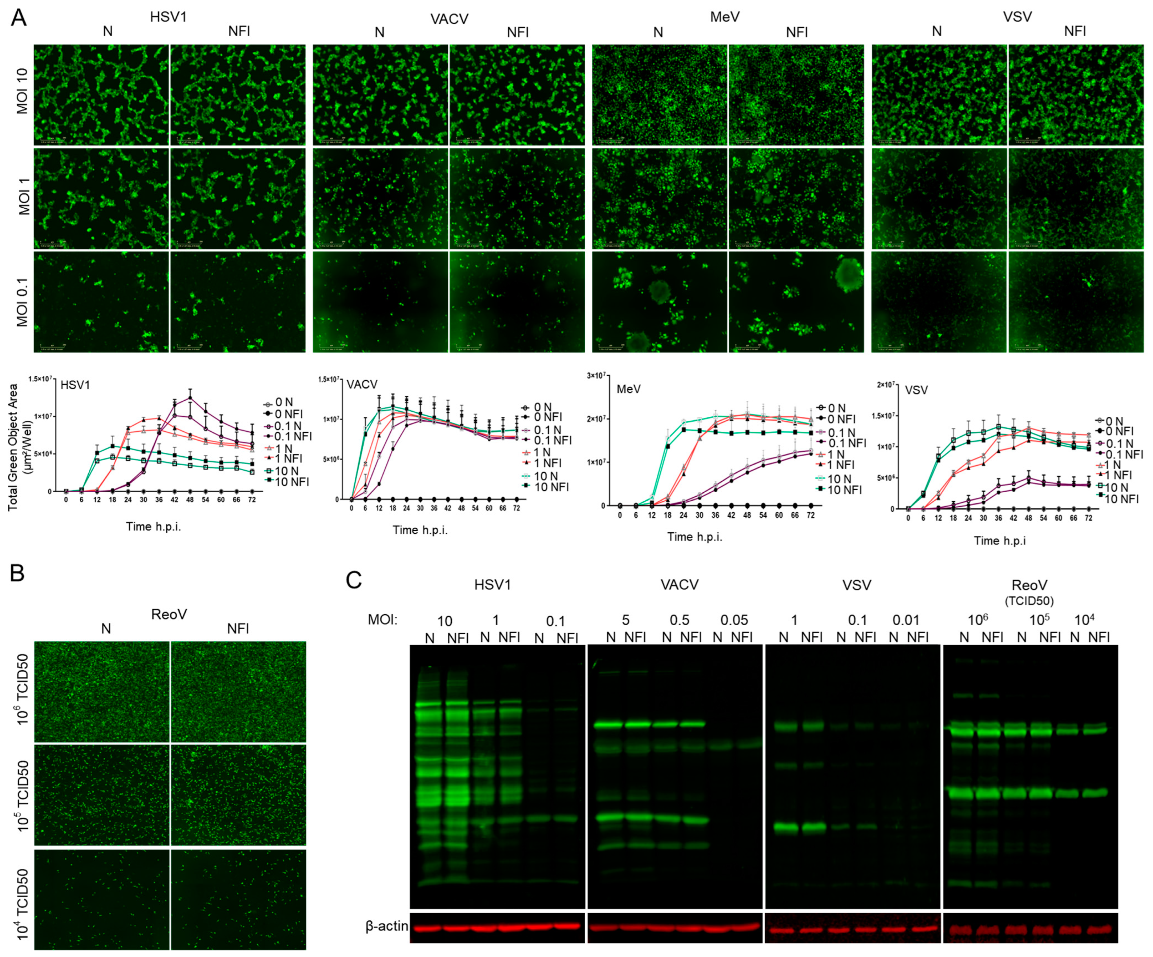 Cancers 15 05655 g002 Cancers 15 05655 g002