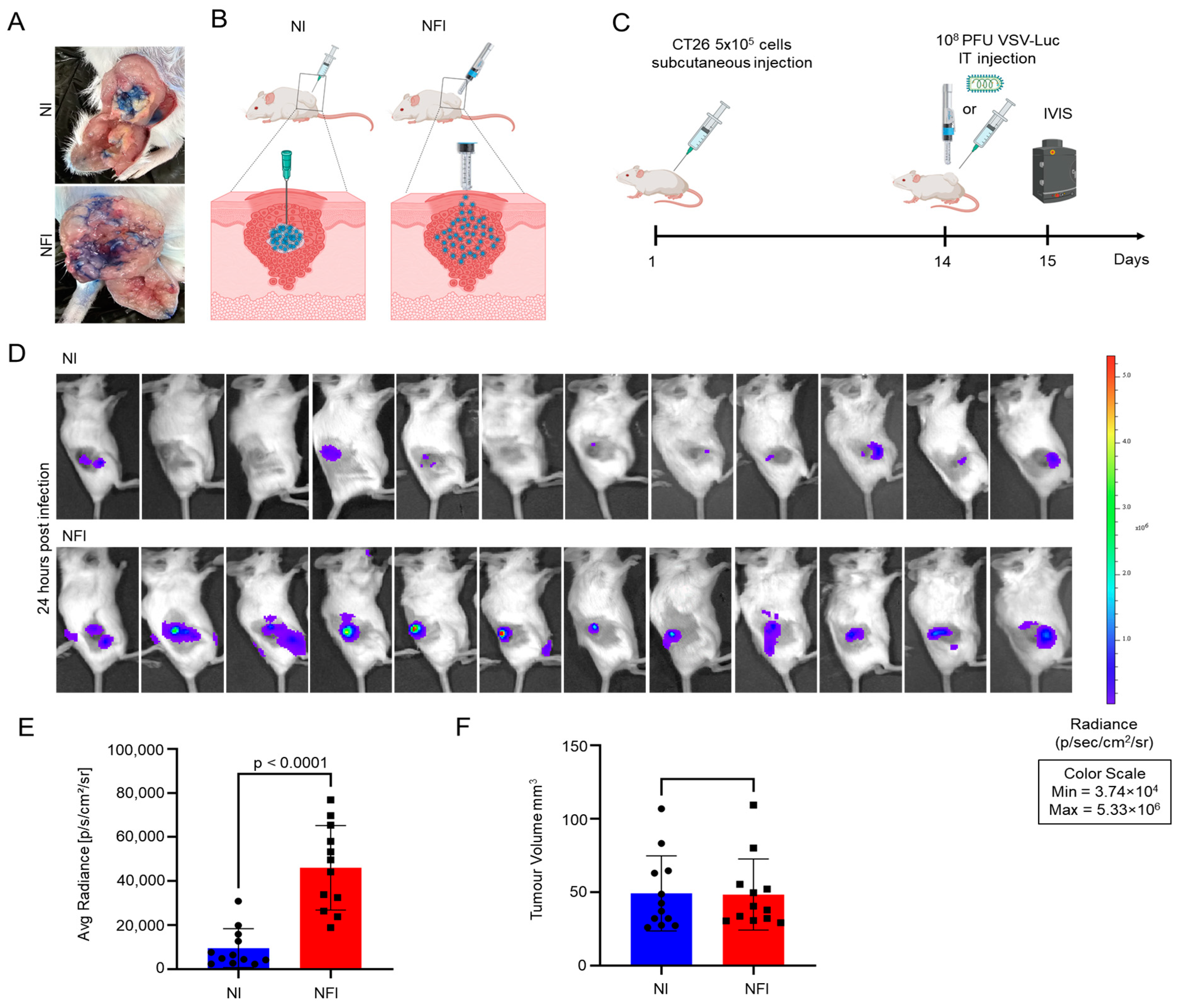 Cancers 15 05655 g003 Cancers 15 05655 g003