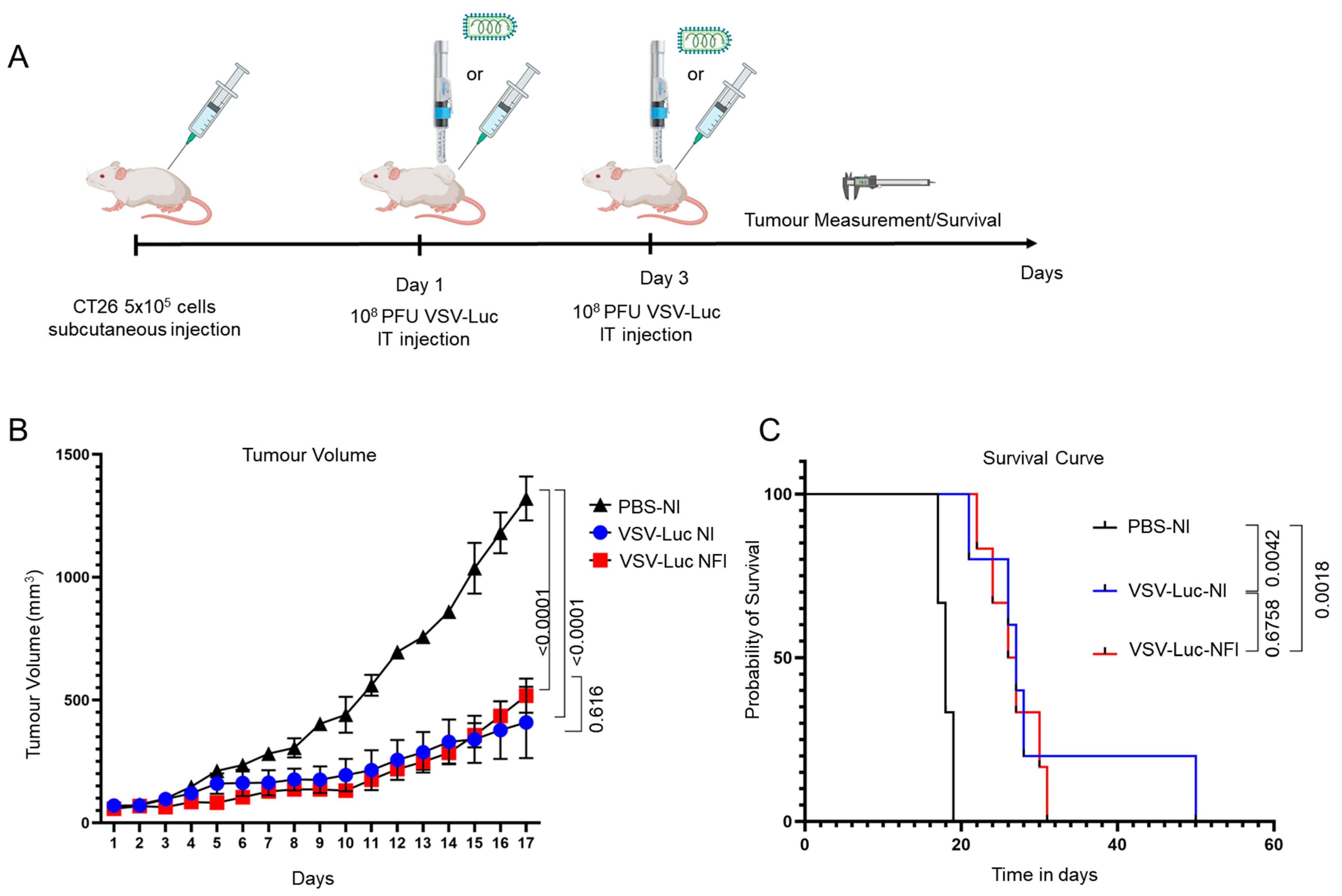 Cancers 15 05655 g004 Cancers 15 05655 g004