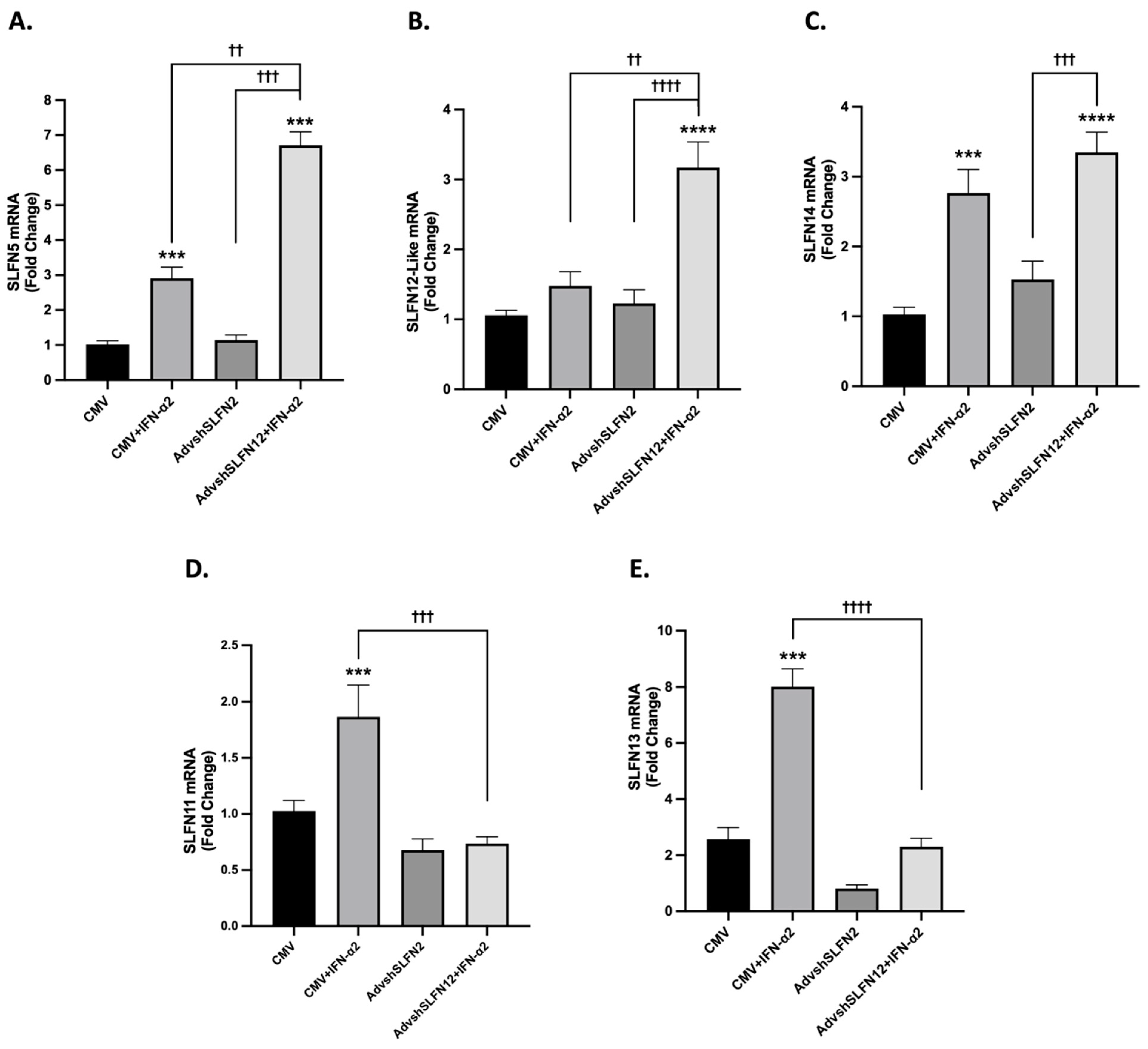 Cancers 15 05658 g003