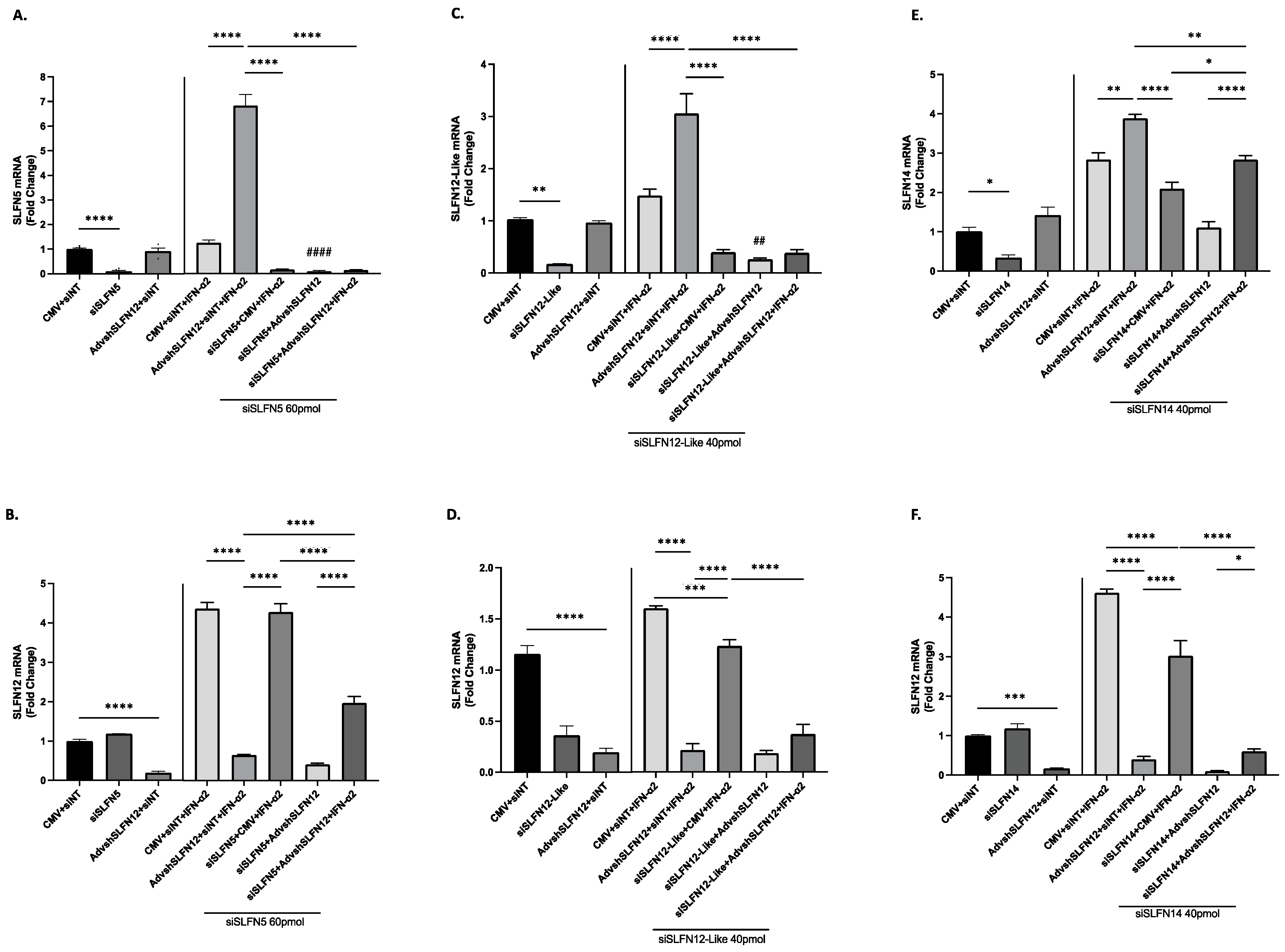 Cancers 15 05658 g005