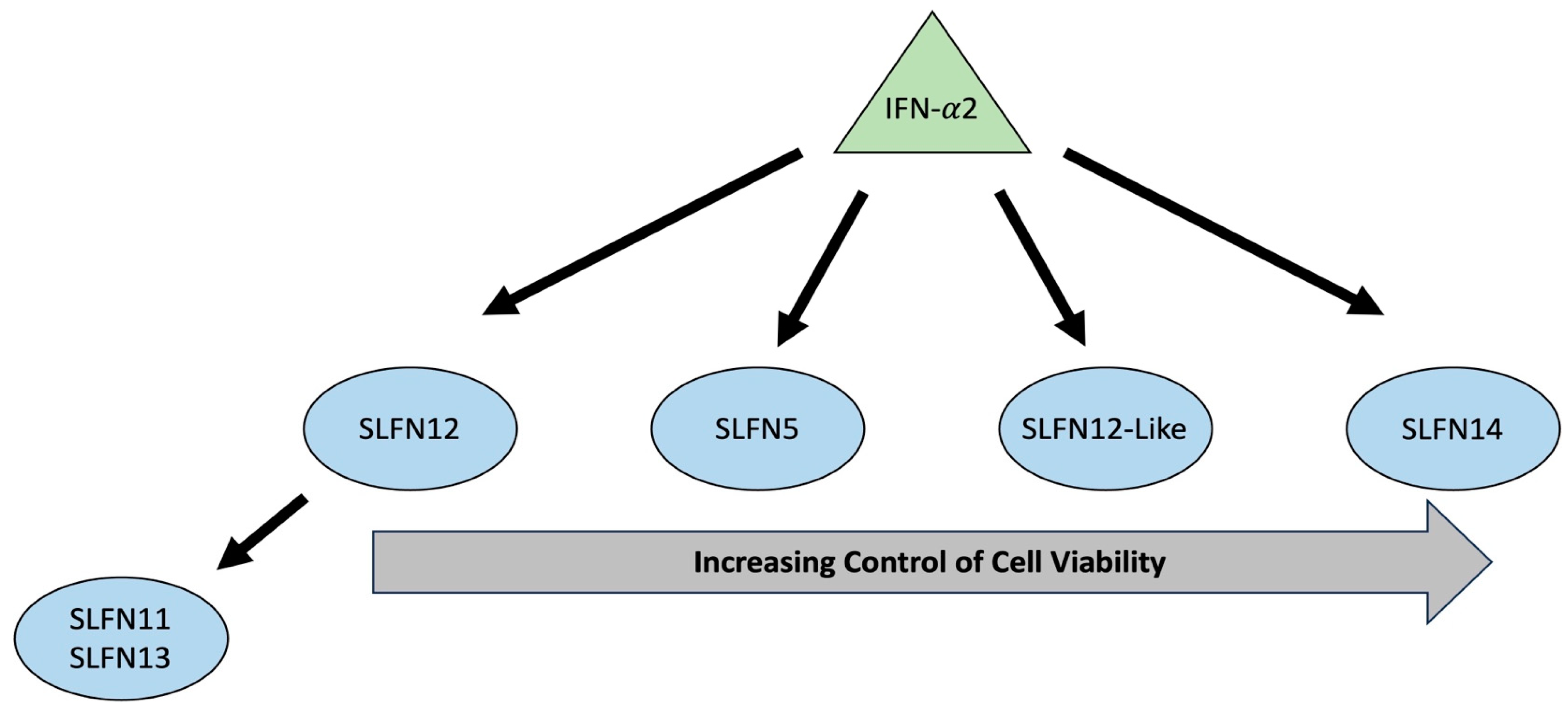 Cancers 15 05658 g007