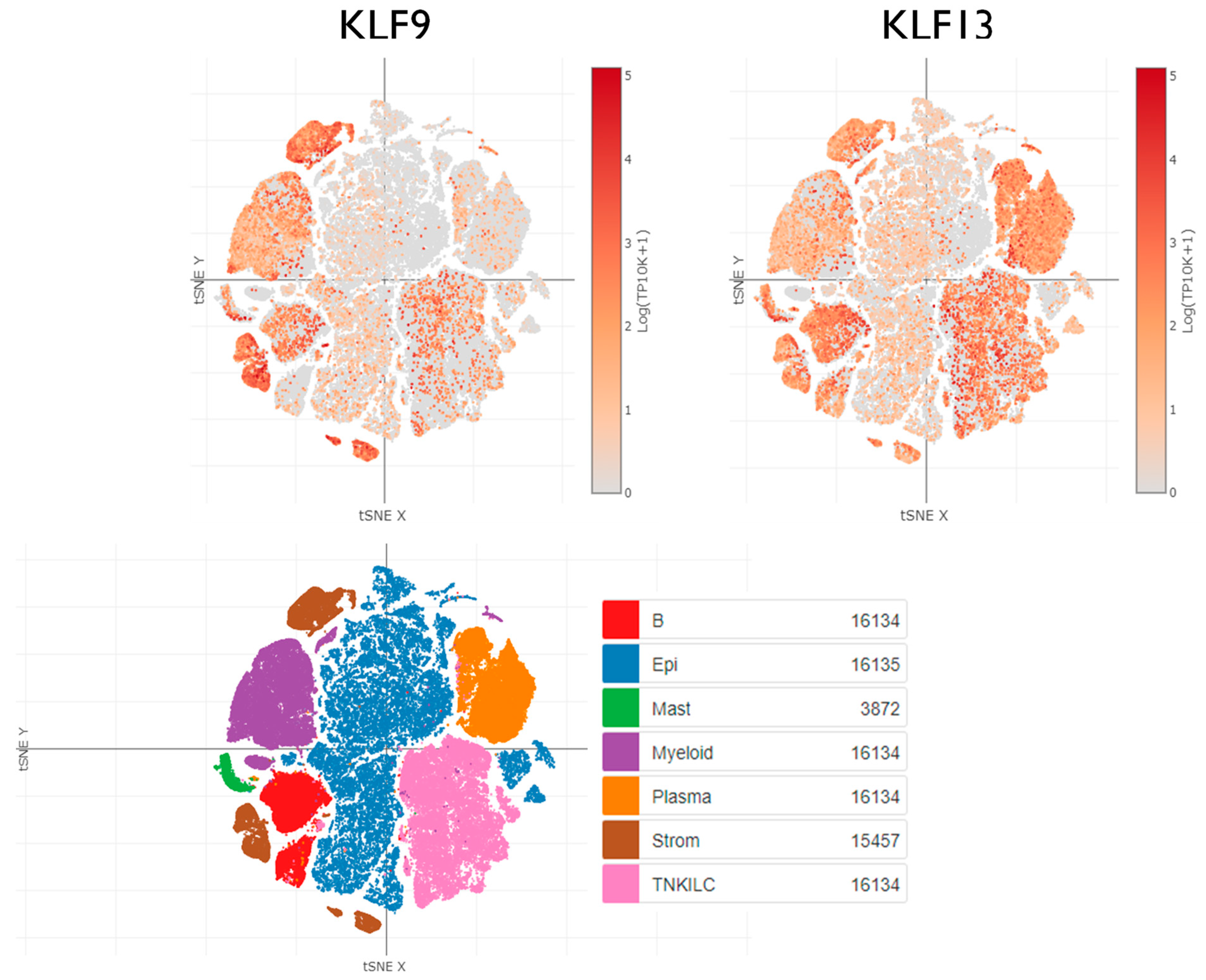 Cancers 15 05667 g005 Cancers 15 05667 g005