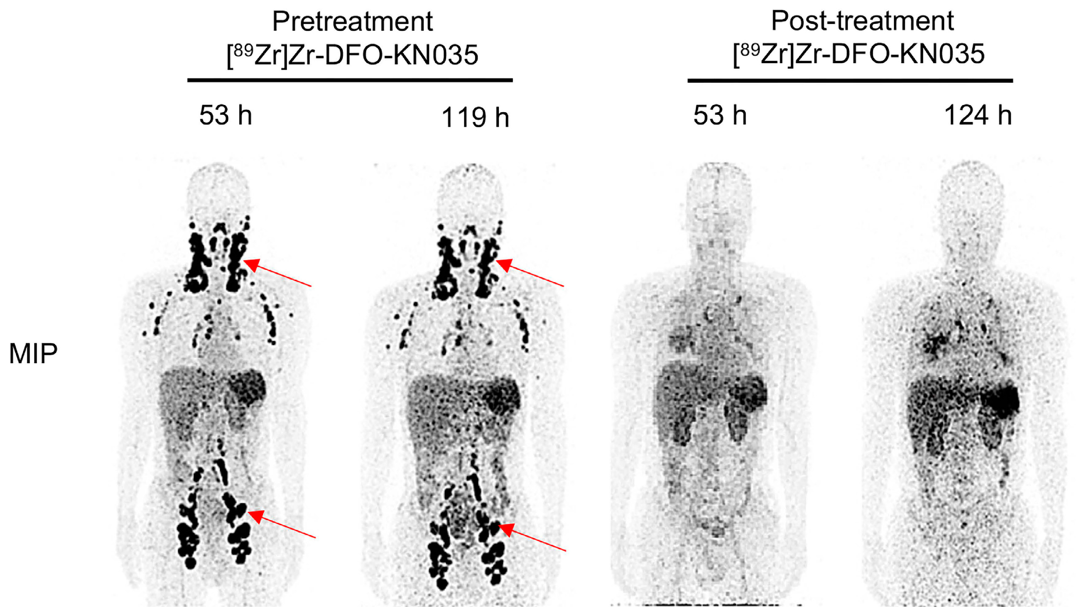 Cancers 15 05675 g002