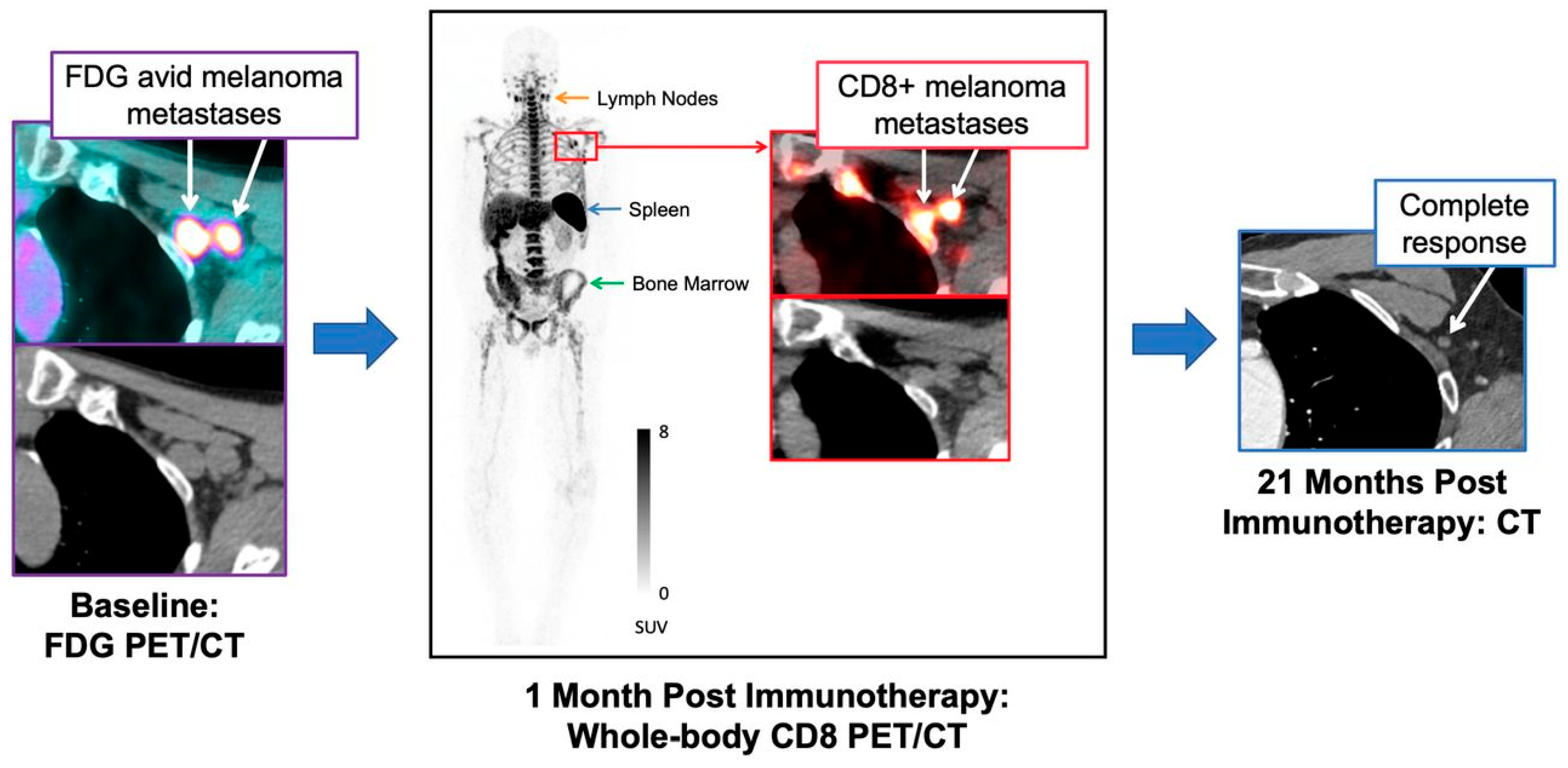 Cancers 15 05675 g003