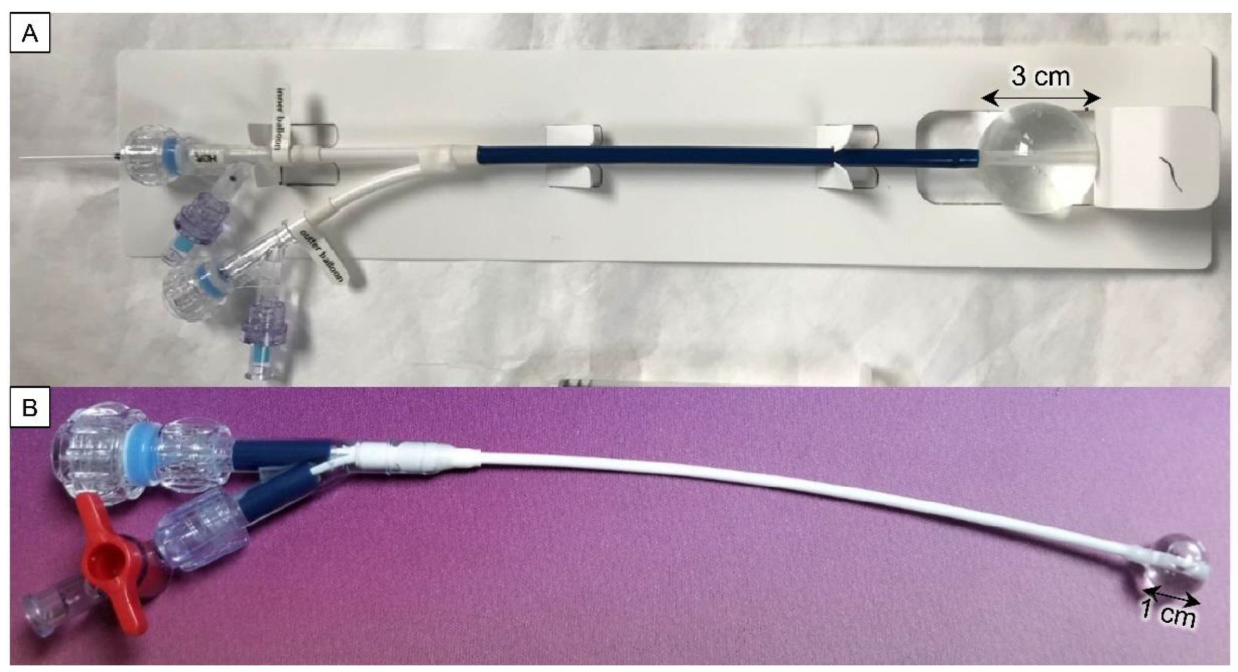 Cancers 15 05683 g001