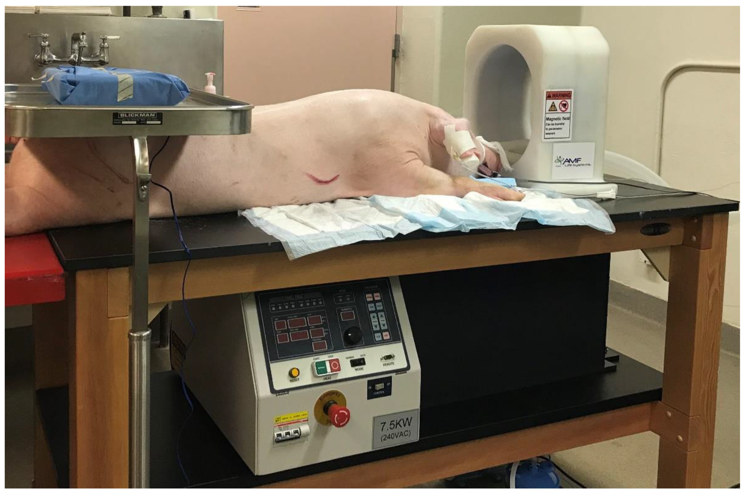 Cancers 15 05683 g002